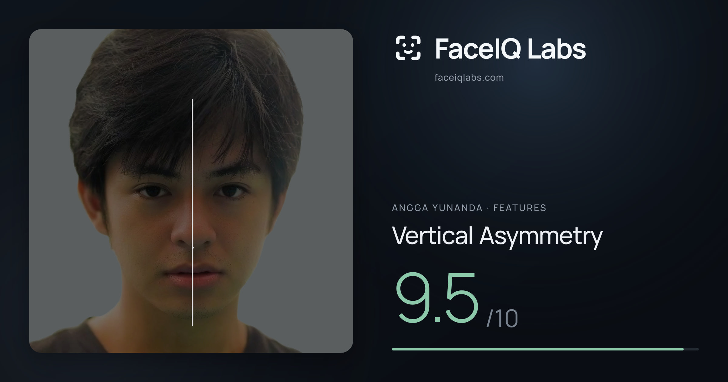 Angga Yunanda Vertical Asymmetry: 9.5/10, drawn on the photo