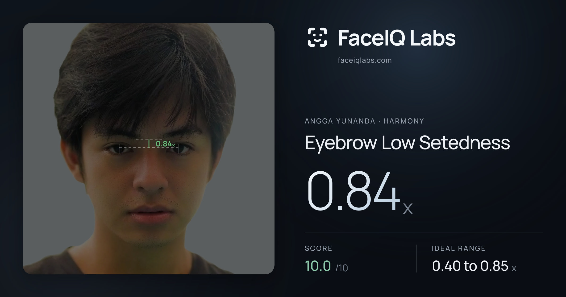 Angga Yunanda Eyebrow Low Setedness: 0.84x, drawn on the photo