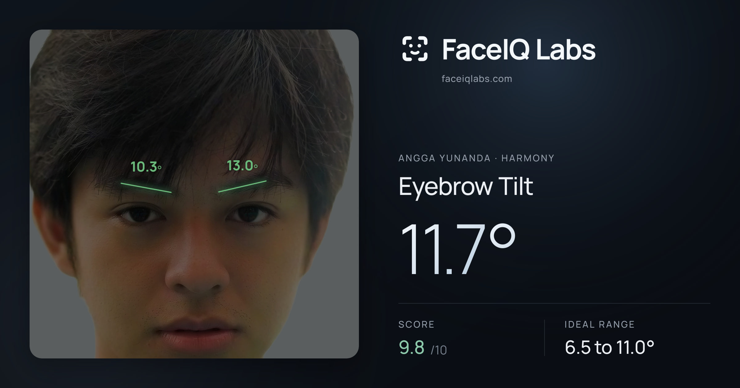 Angga Yunanda Eyebrow Tilt: 11.7°, drawn on the photo