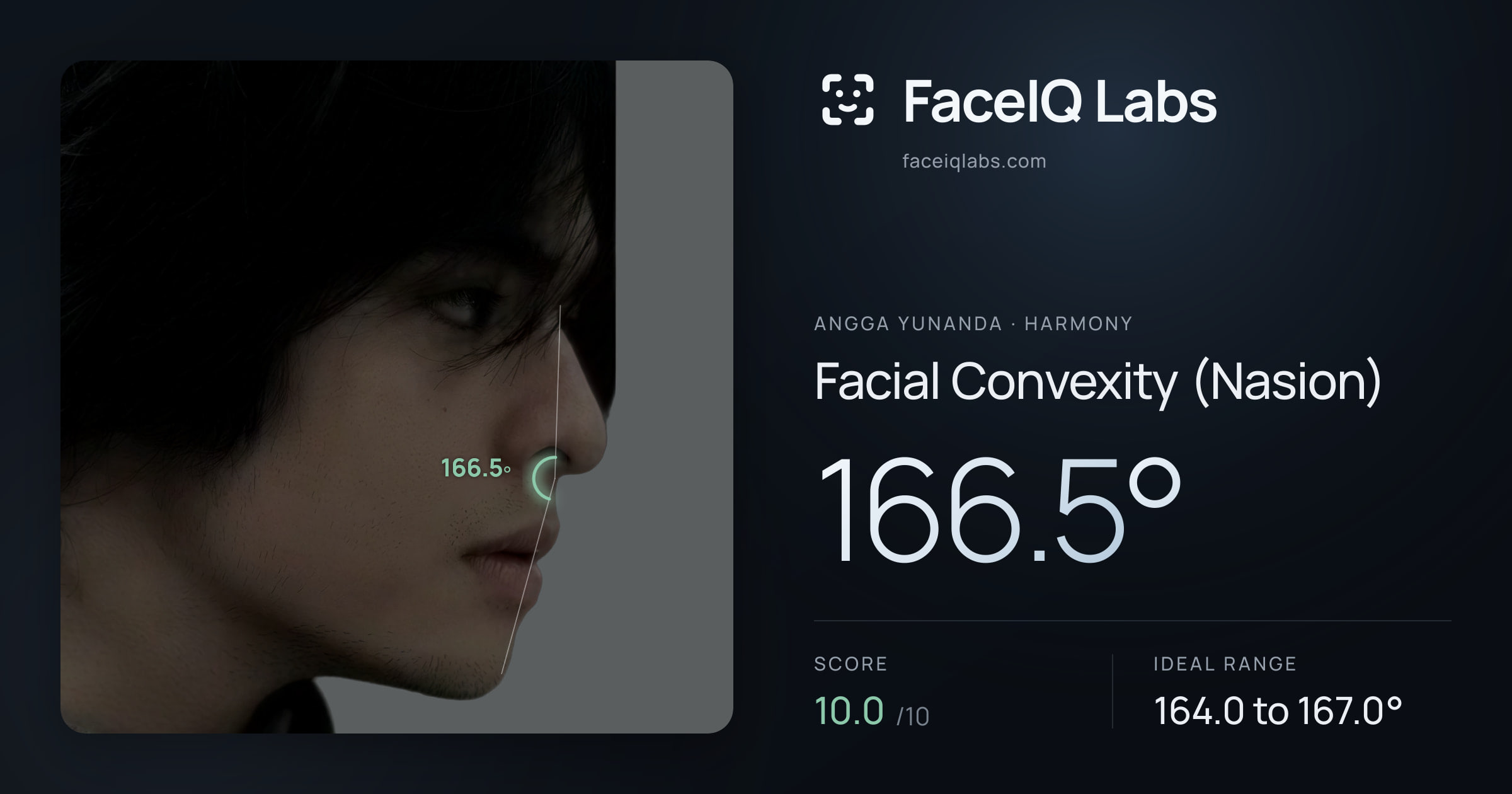 Angga Yunanda Facial Convexity (Nasion): 166.5°, drawn on the photo