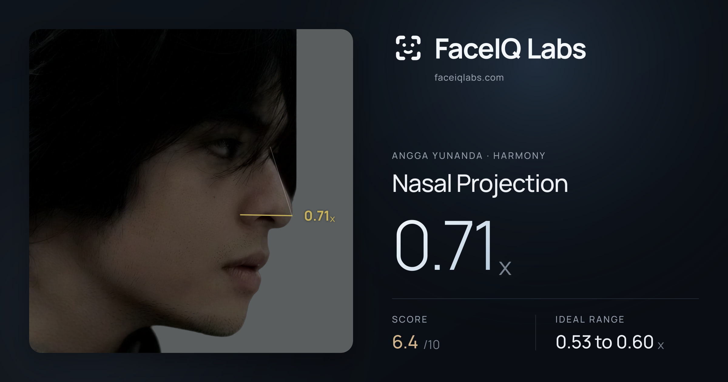 Angga Yunanda Nasal Projection: 0.71x, drawn on the photo