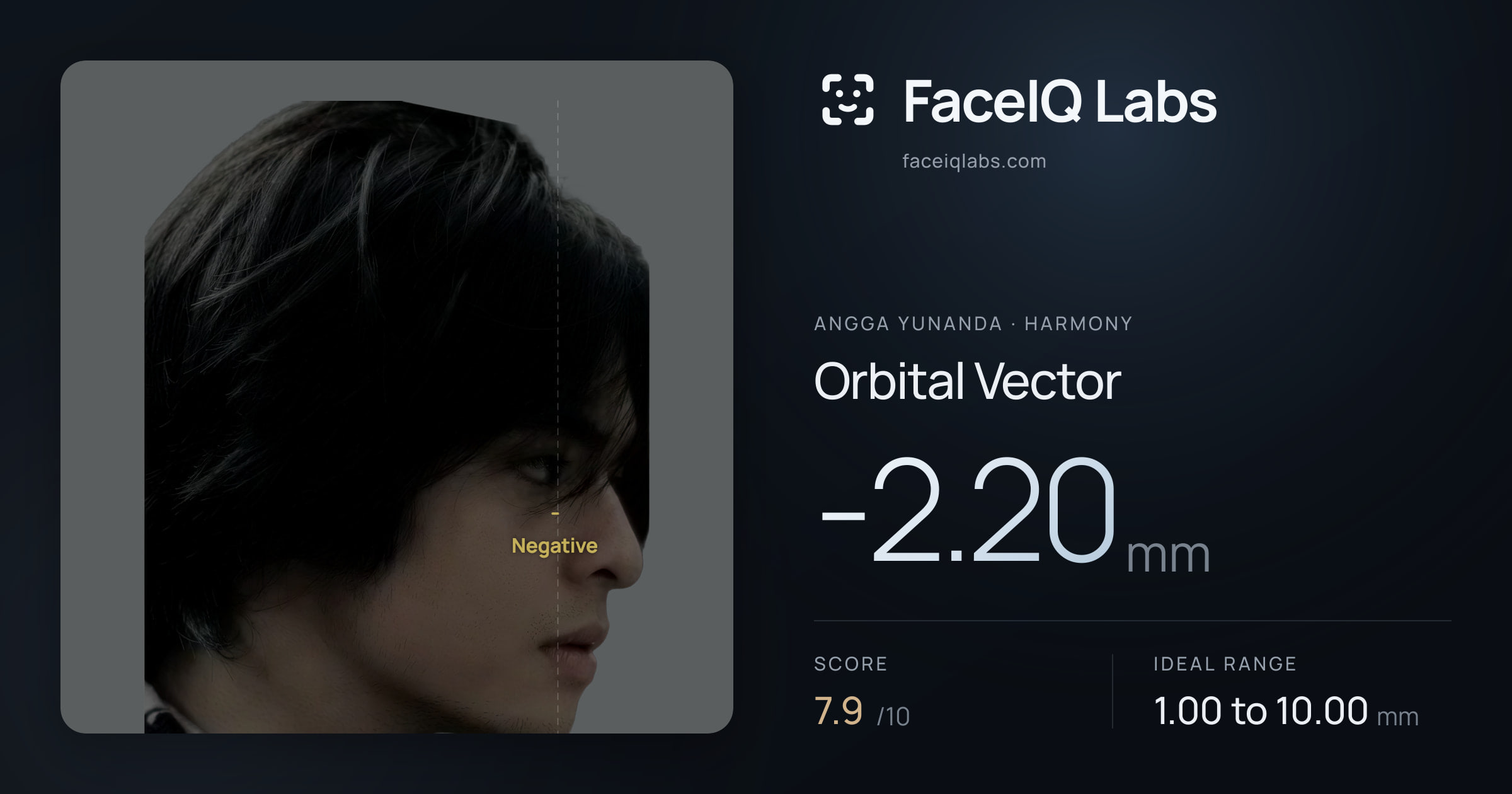 Angga Yunanda Orbital Vector: -2.20mm, drawn on the photo