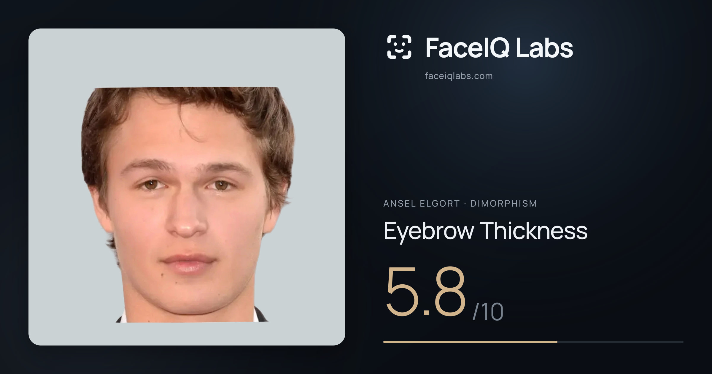 Ansel Elgort Eyebrow Thickness: 5.8/10, drawn on the photo
