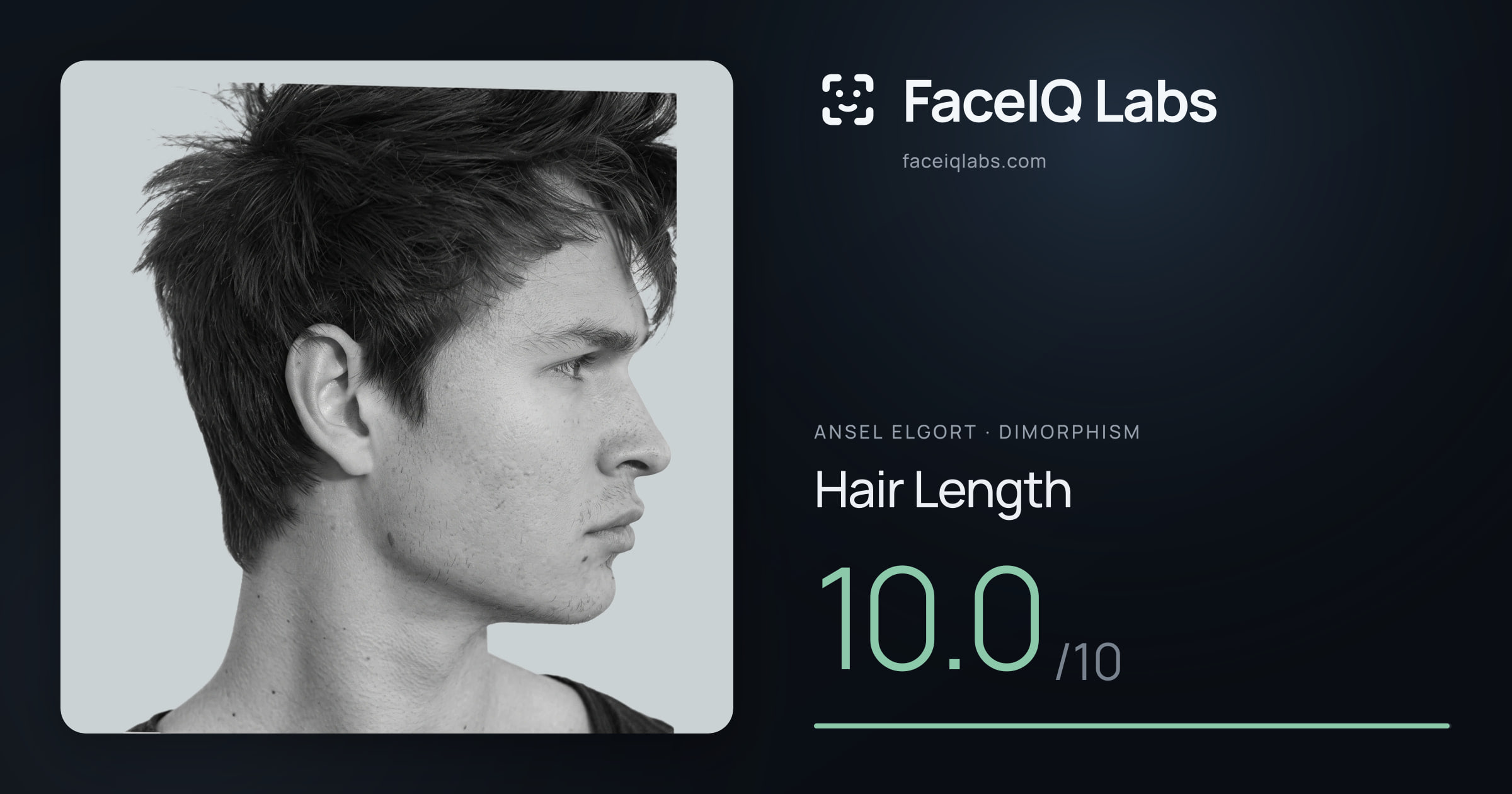 Ansel Elgort Hair Length: 10.0/10, drawn on the photo