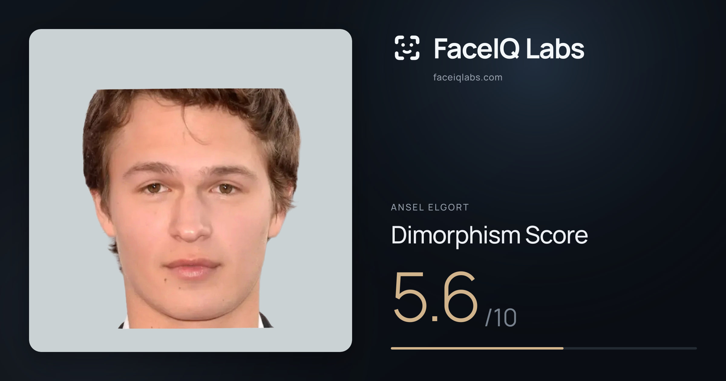 Ansel Elgort Dimorphism: 5.6/10, with each assessment drawn on the photo