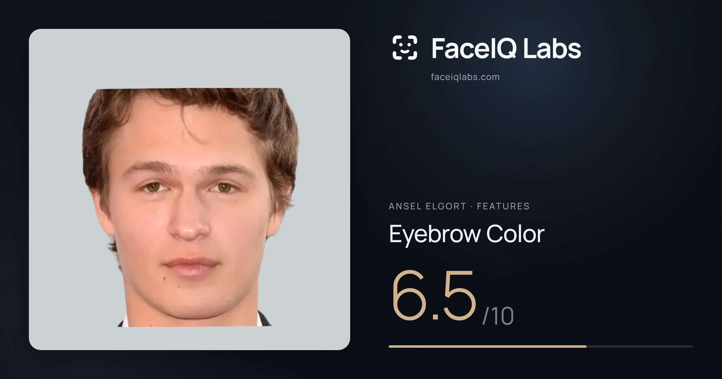 Ansel Elgort Eyebrow Color: 6.5/10, drawn on the photo