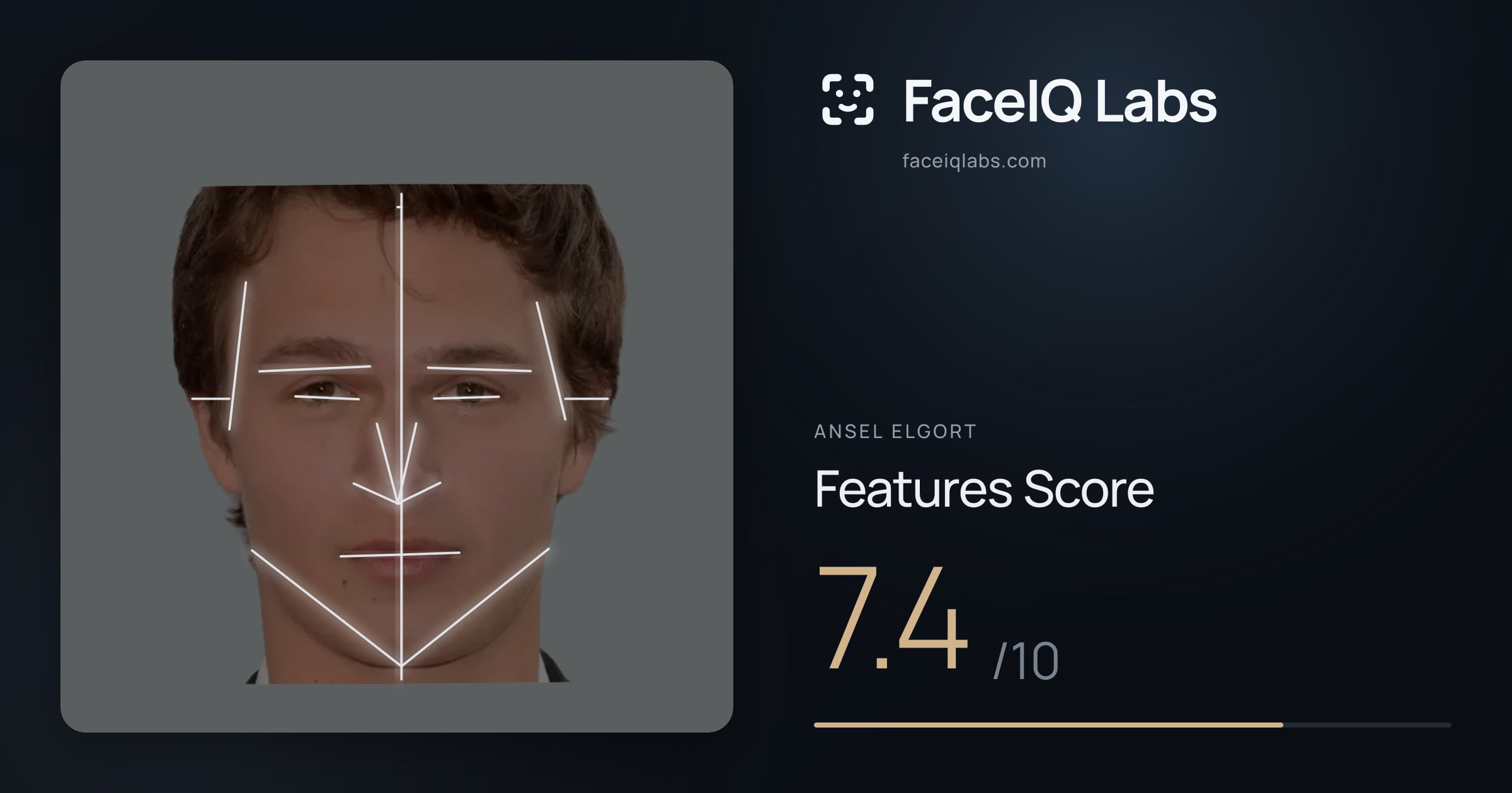 Ansel Elgort Features: 7.4/10, with each assessment drawn on the photo