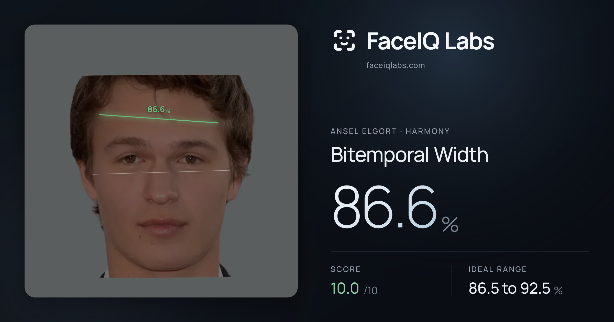 Ansel Elgort Bitemporal Width: 86.6%, drawn on the photo