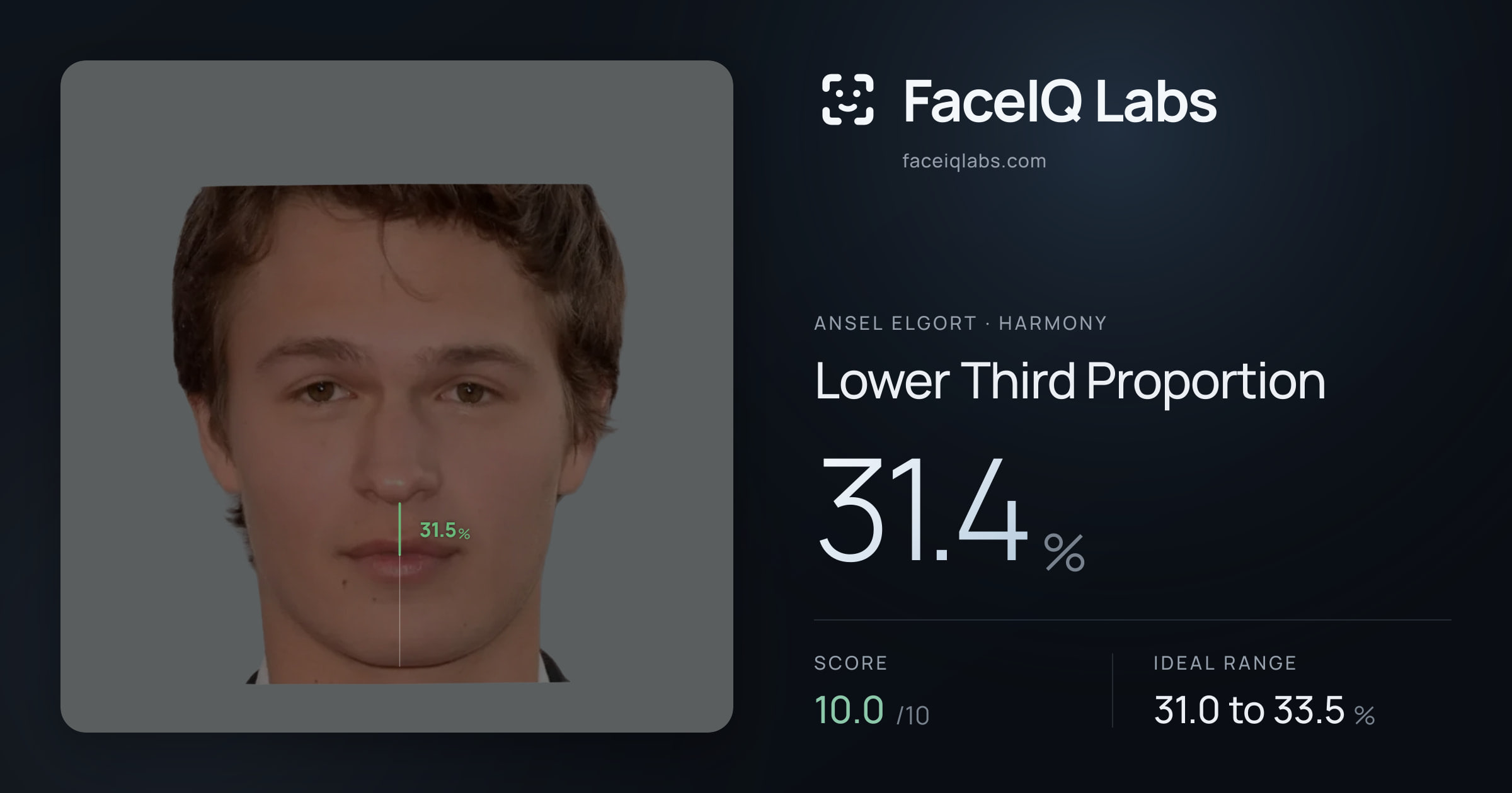 Ansel Elgort Lower Third Proportion: 31.4%, drawn on the photo