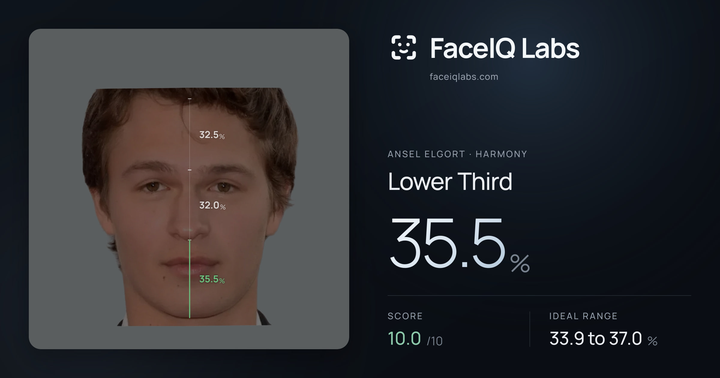 Ansel Elgort Lower Third: 35.5%, drawn on the photo