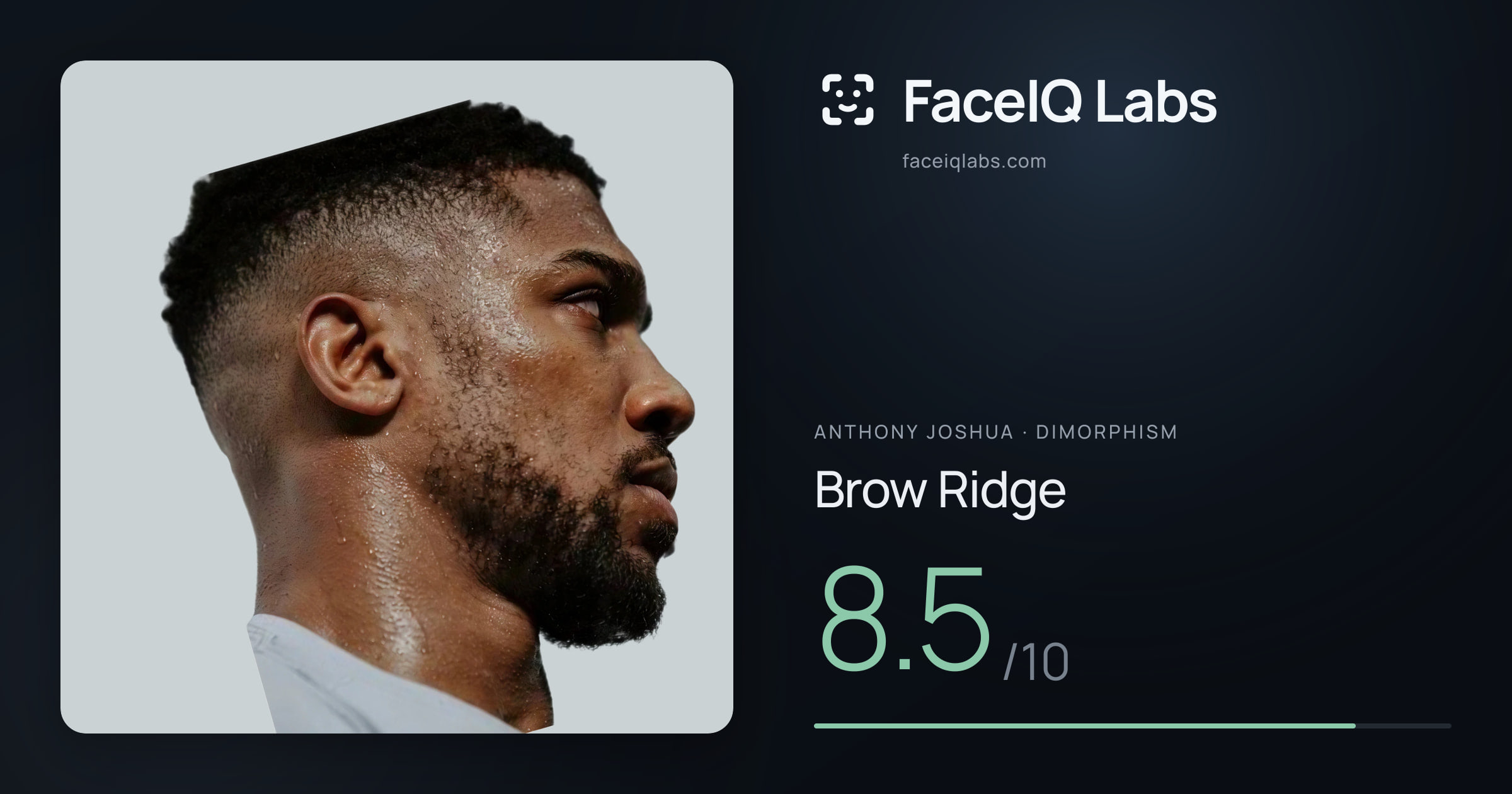 Anthony Joshua Brow Ridge: 8.5/10, drawn on the photo