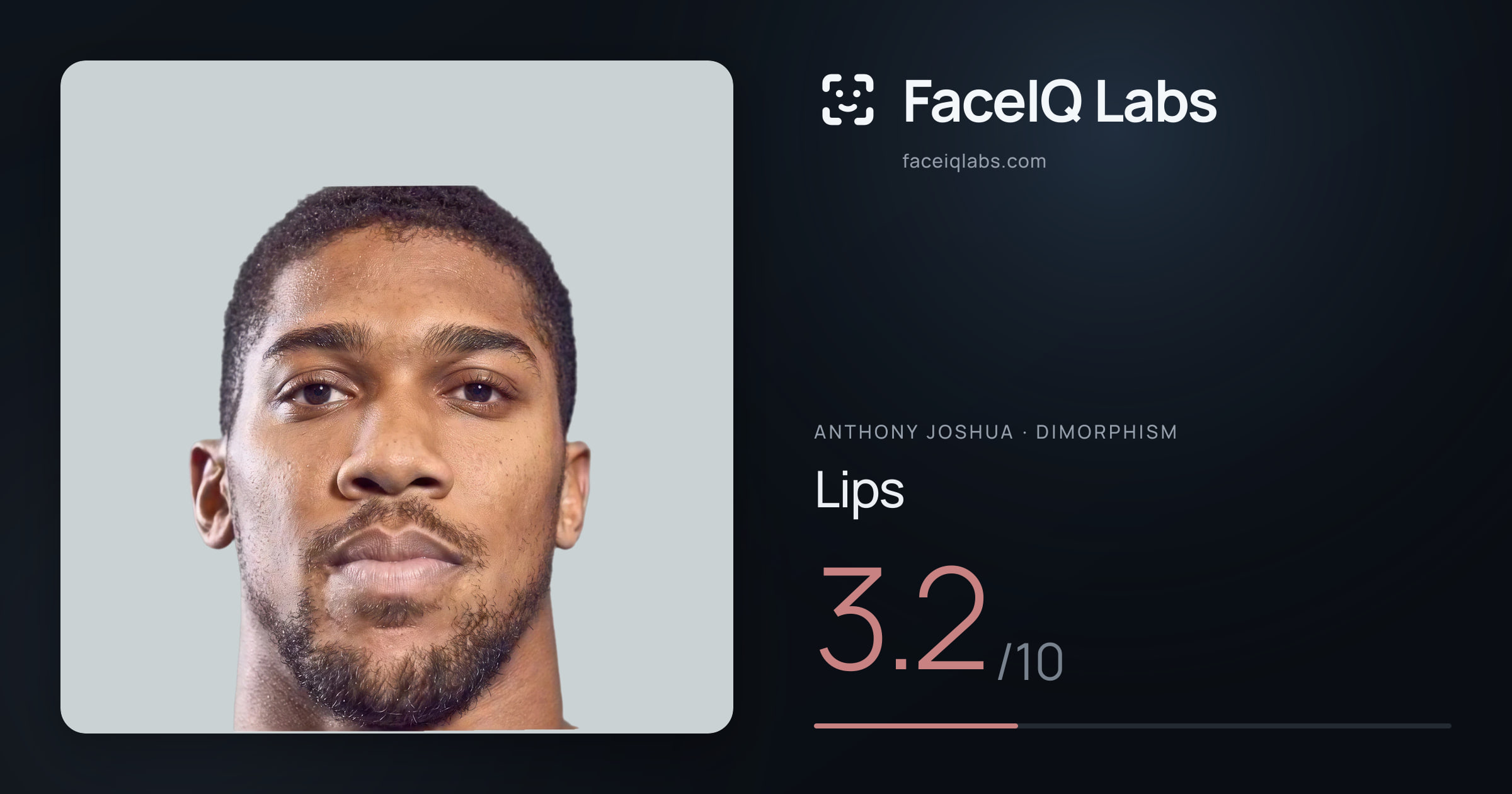 Anthony Joshua Lips: 3.2/10, drawn on the photo