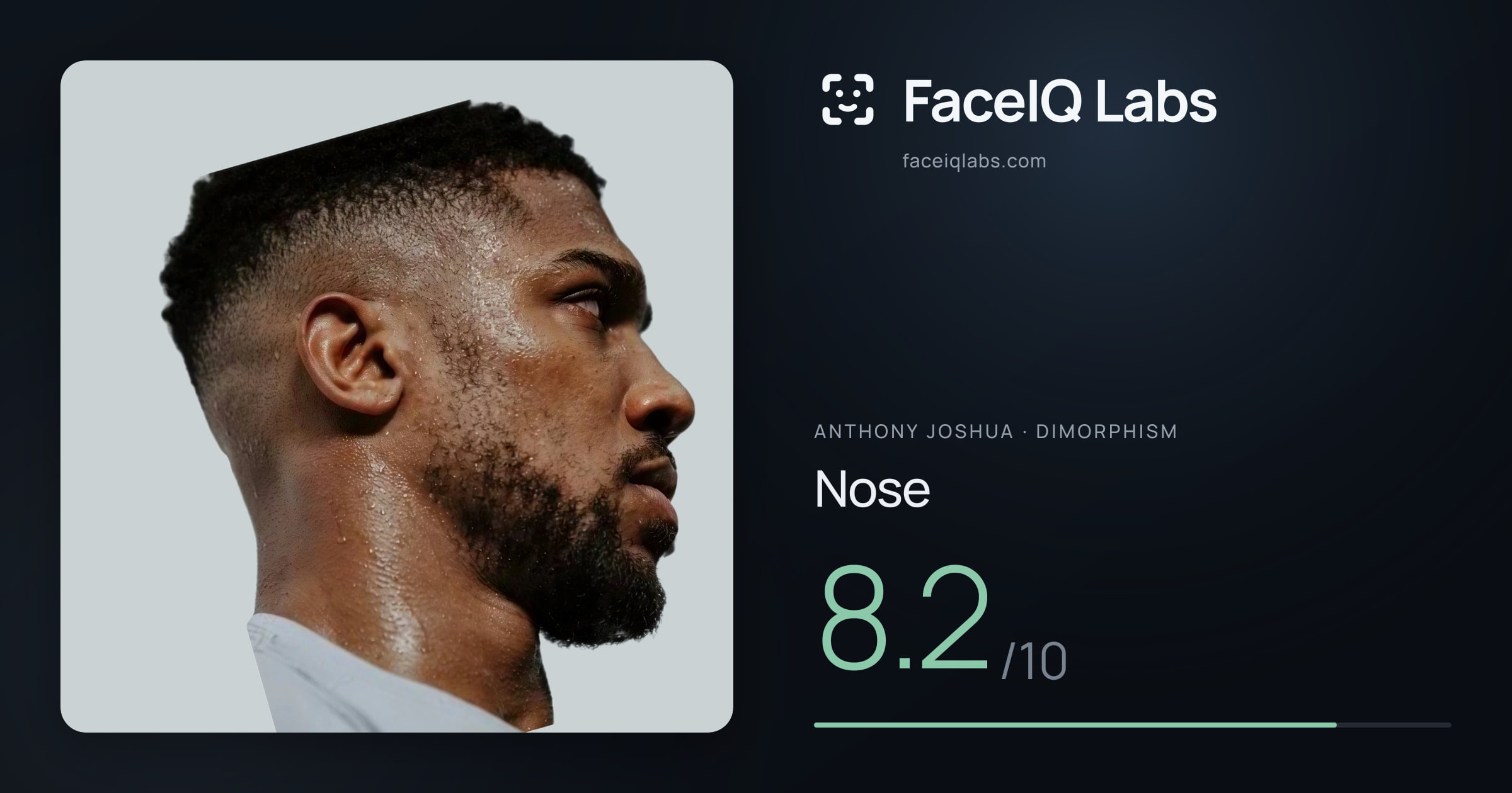 Anthony Joshua Nose: 8.2/10, drawn on the photo