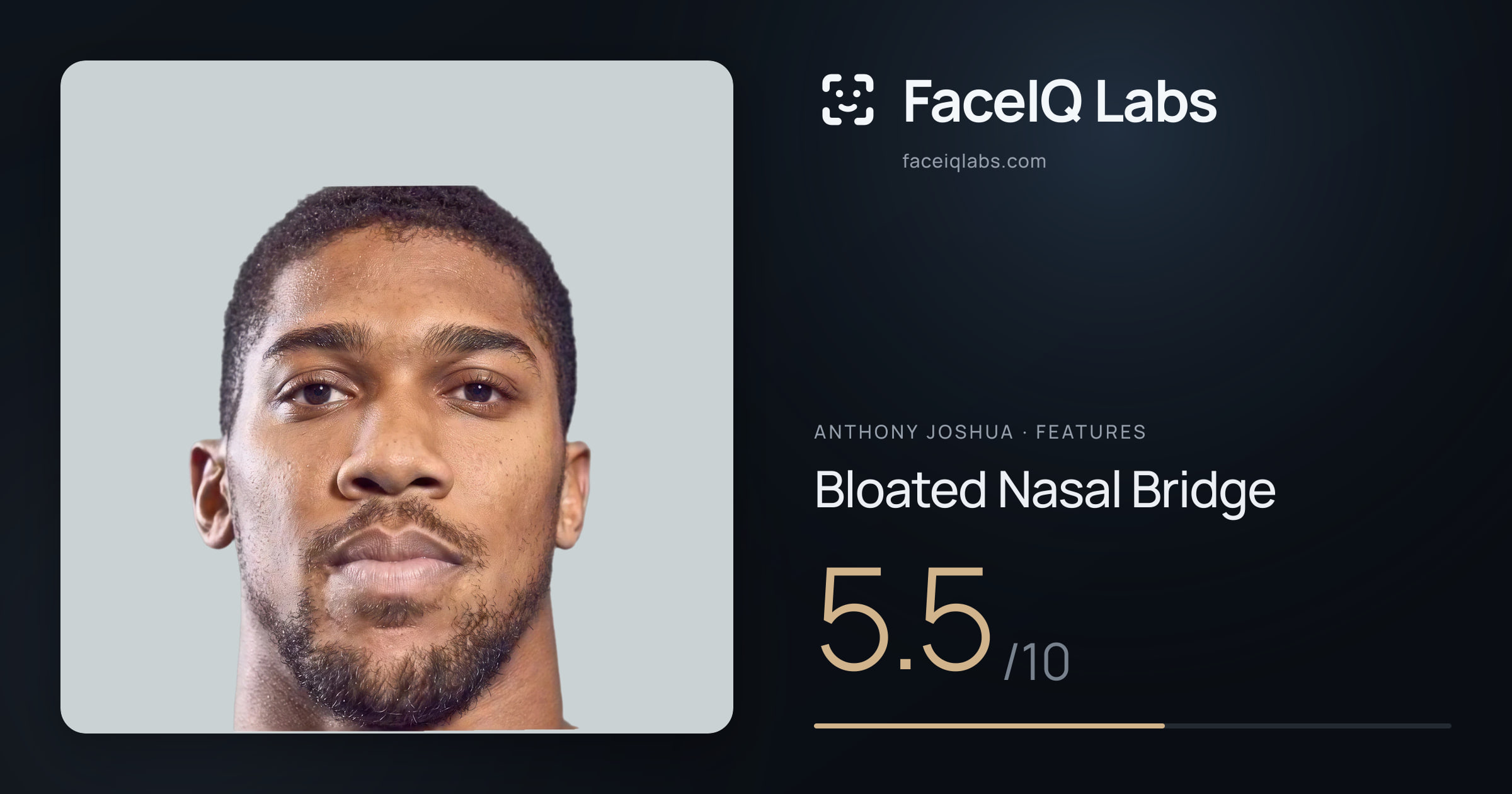 Anthony Joshua Bloated Nasal Bridge: 5.5/10, drawn on the photo