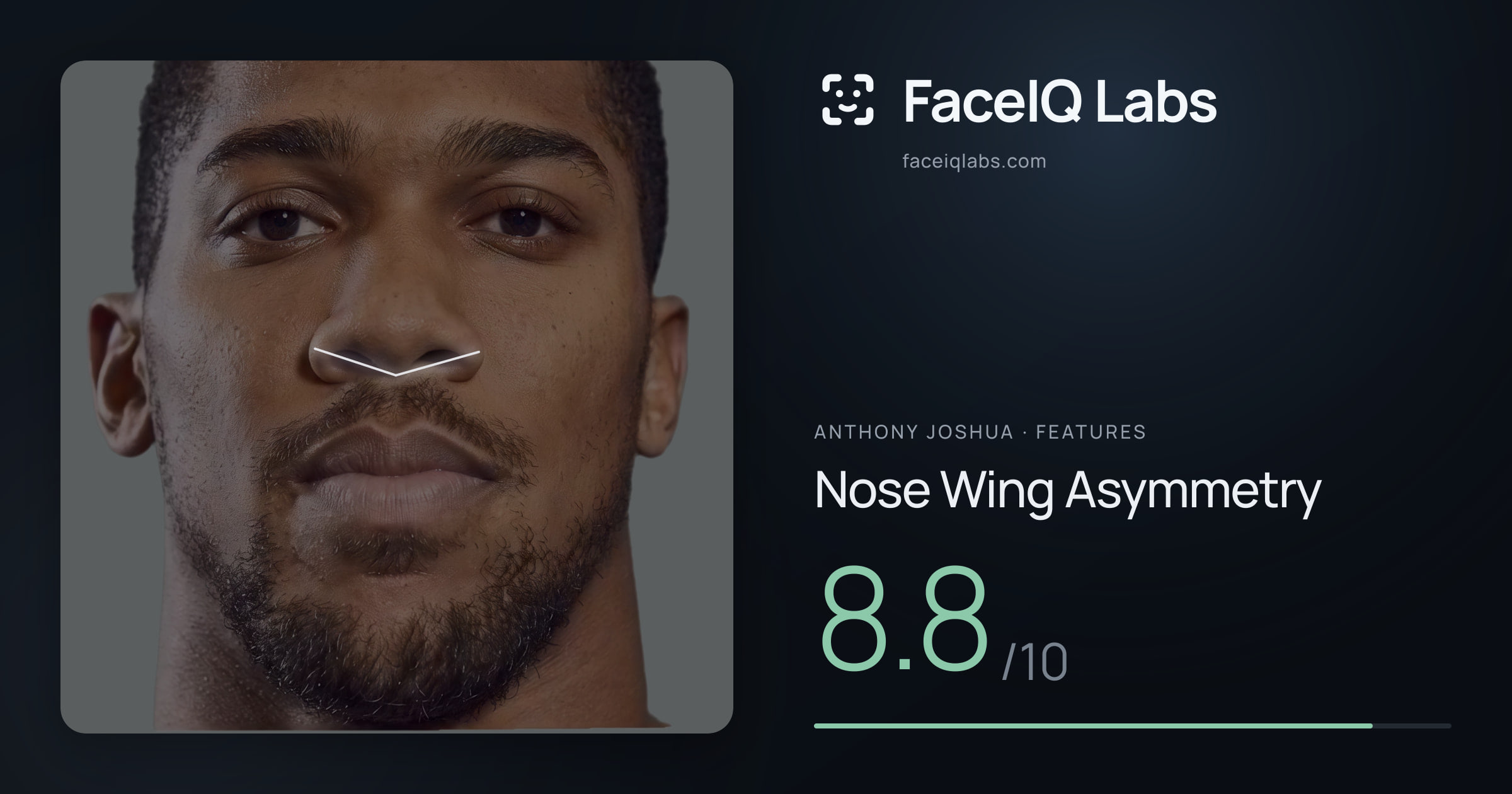 Anthony Joshua Nose Wing Asymmetry: 8.8/10, drawn on the photo