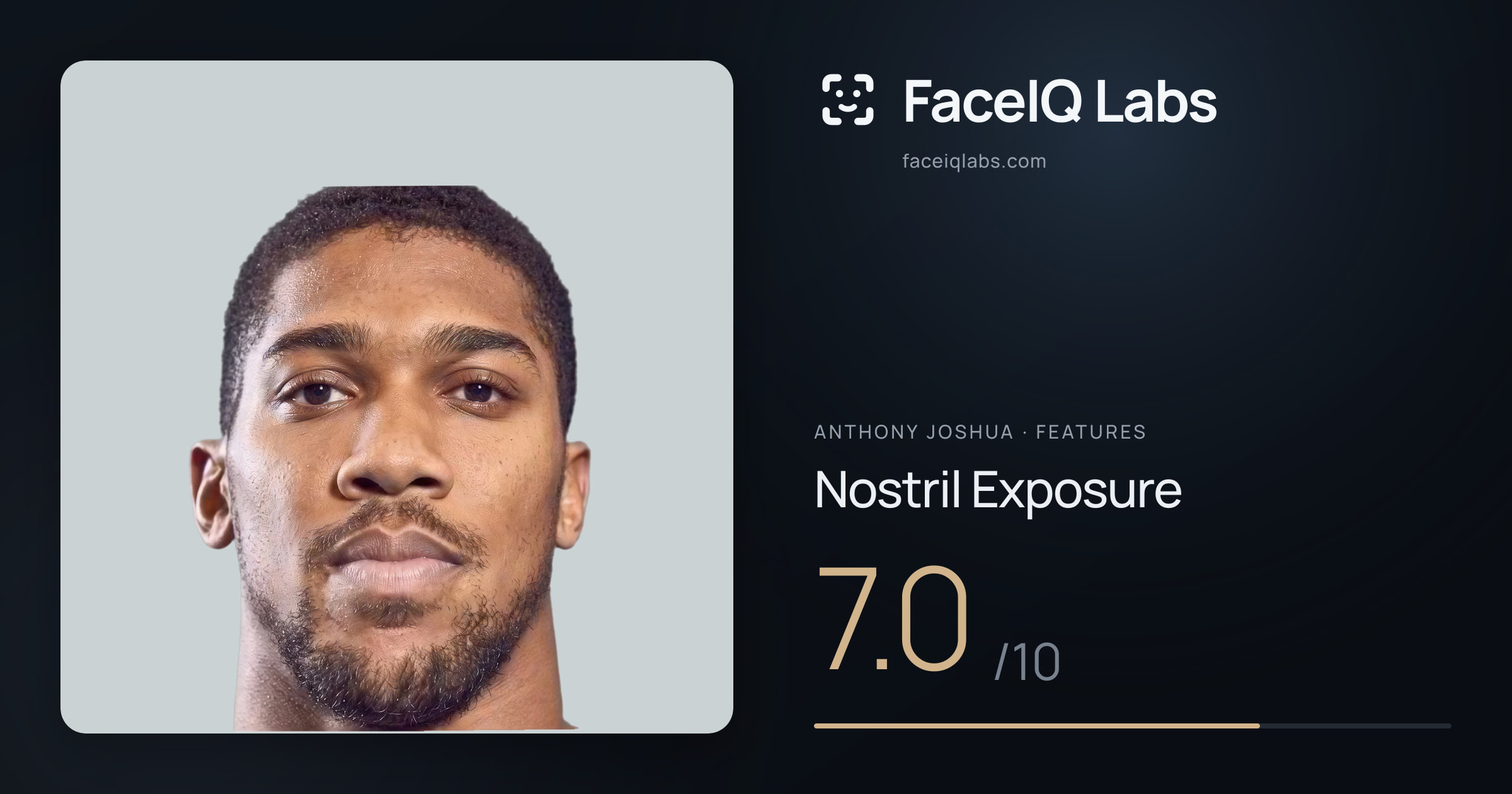 Anthony Joshua Nostril Exposure: 7.0/10, drawn on the photo