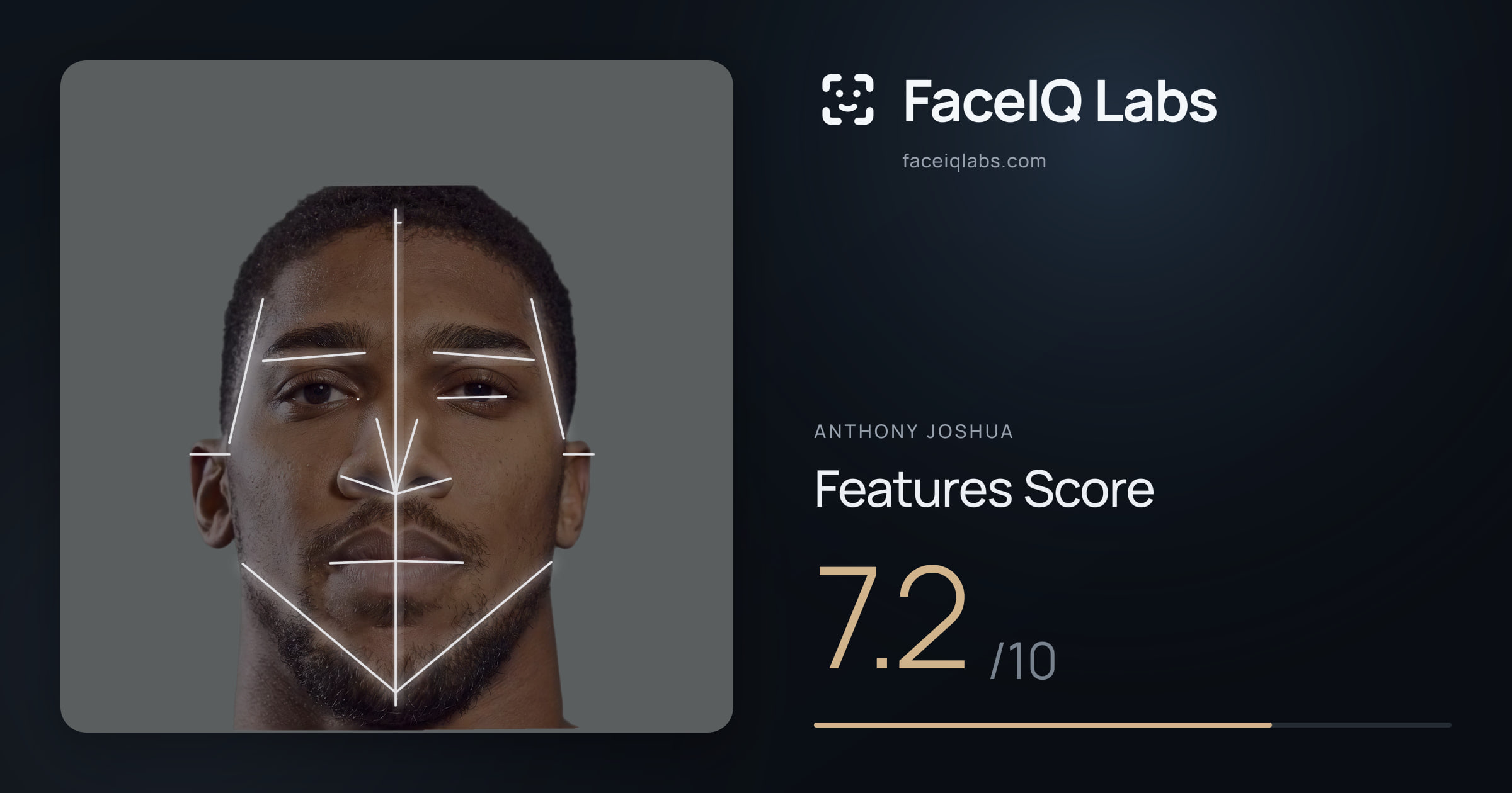 Anthony Joshua Features: 7.2/10, with each assessment drawn on the photo