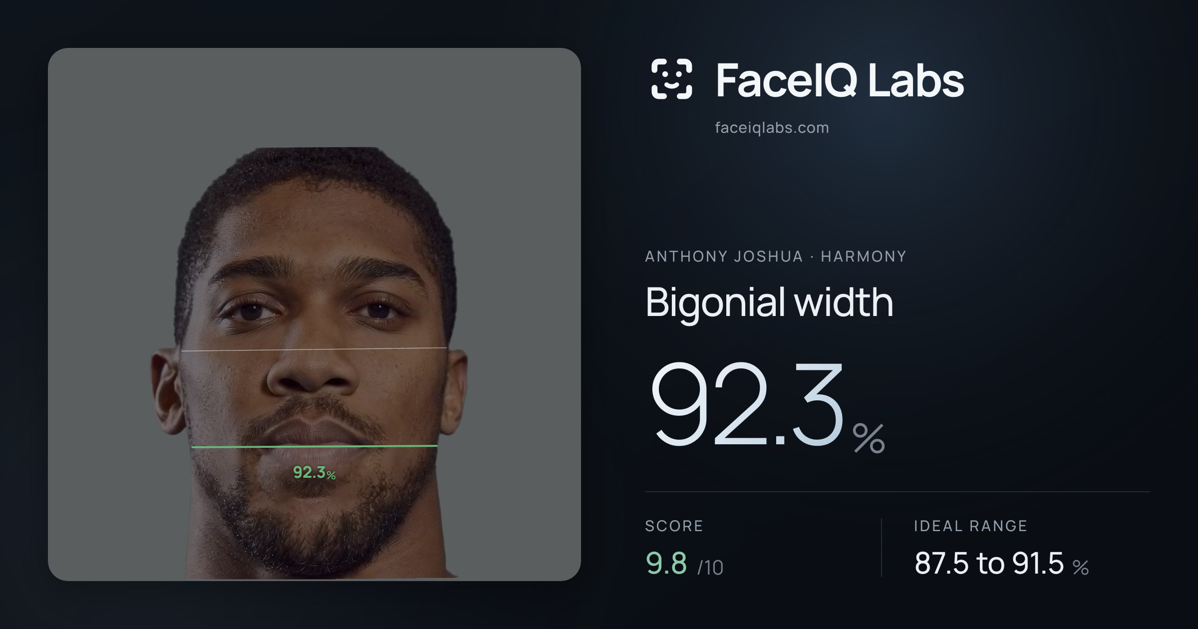 Anthony Joshua Bigonial width: 92.3%, drawn on the photo
