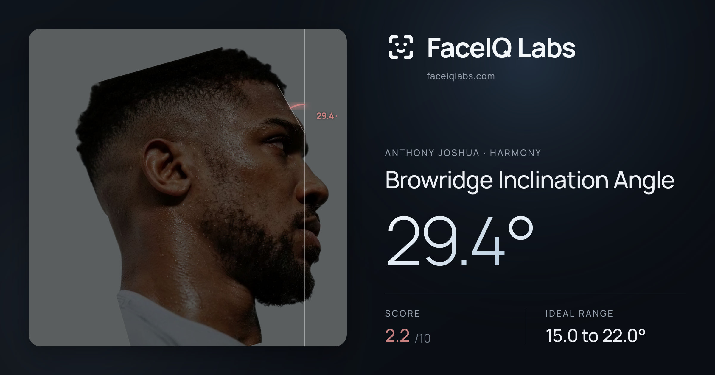 Anthony Joshua Browridge Inclination Angle: 29.4°, drawn on the photo