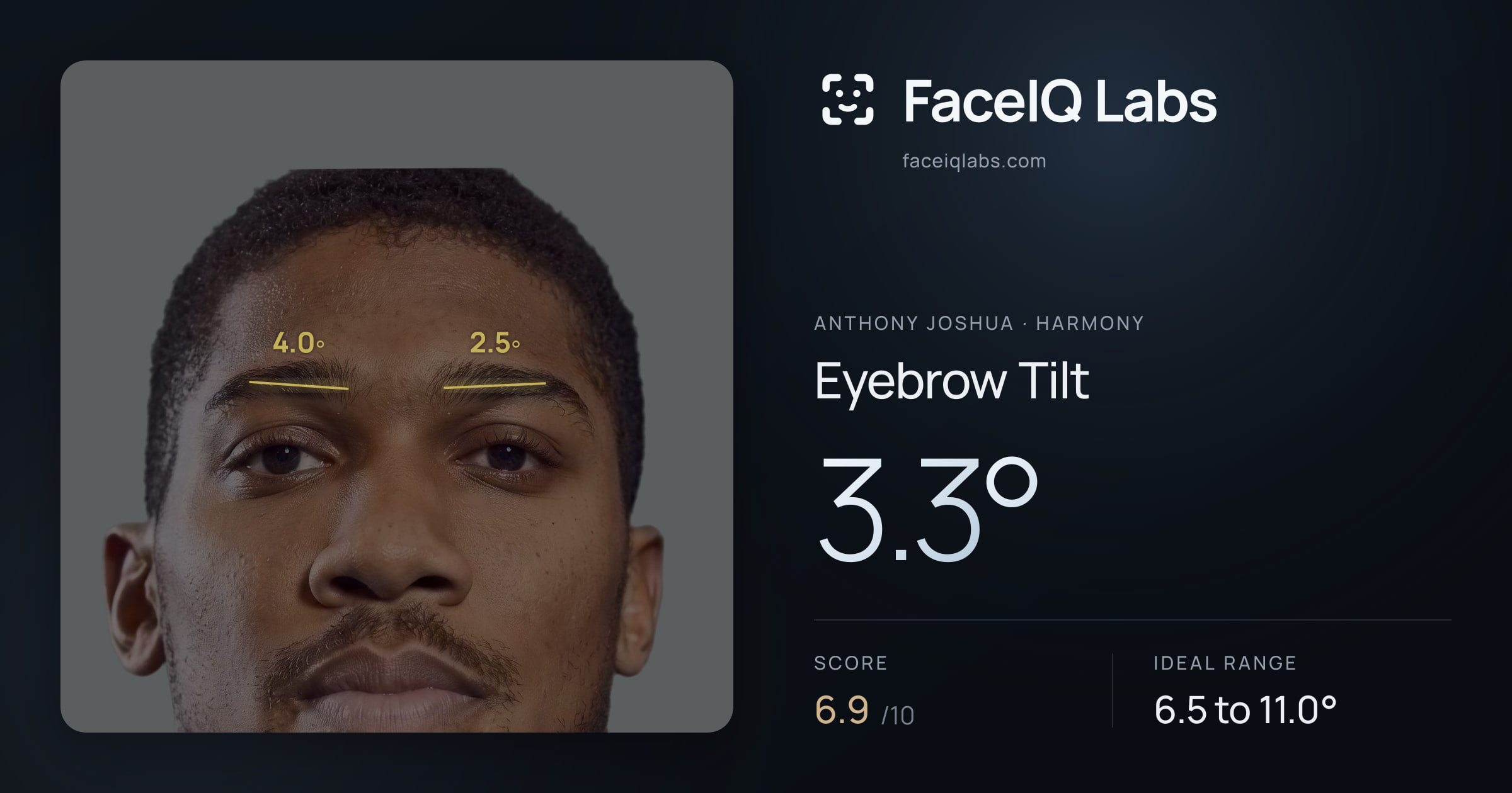 Anthony Joshua Eyebrow Tilt: 3.3°, drawn on the photo