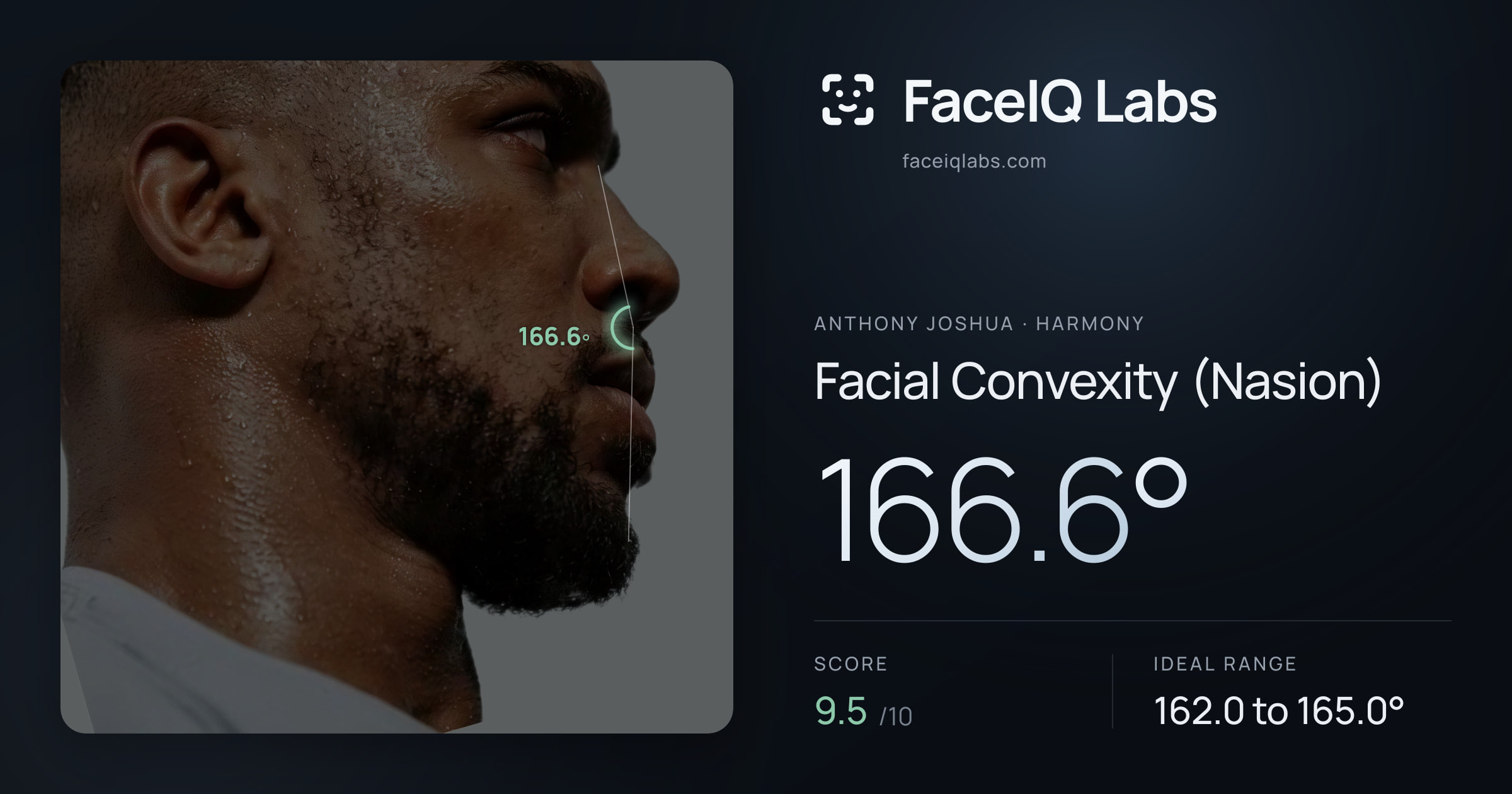 Anthony Joshua Facial Convexity (Nasion): 166.6°, drawn on the photo