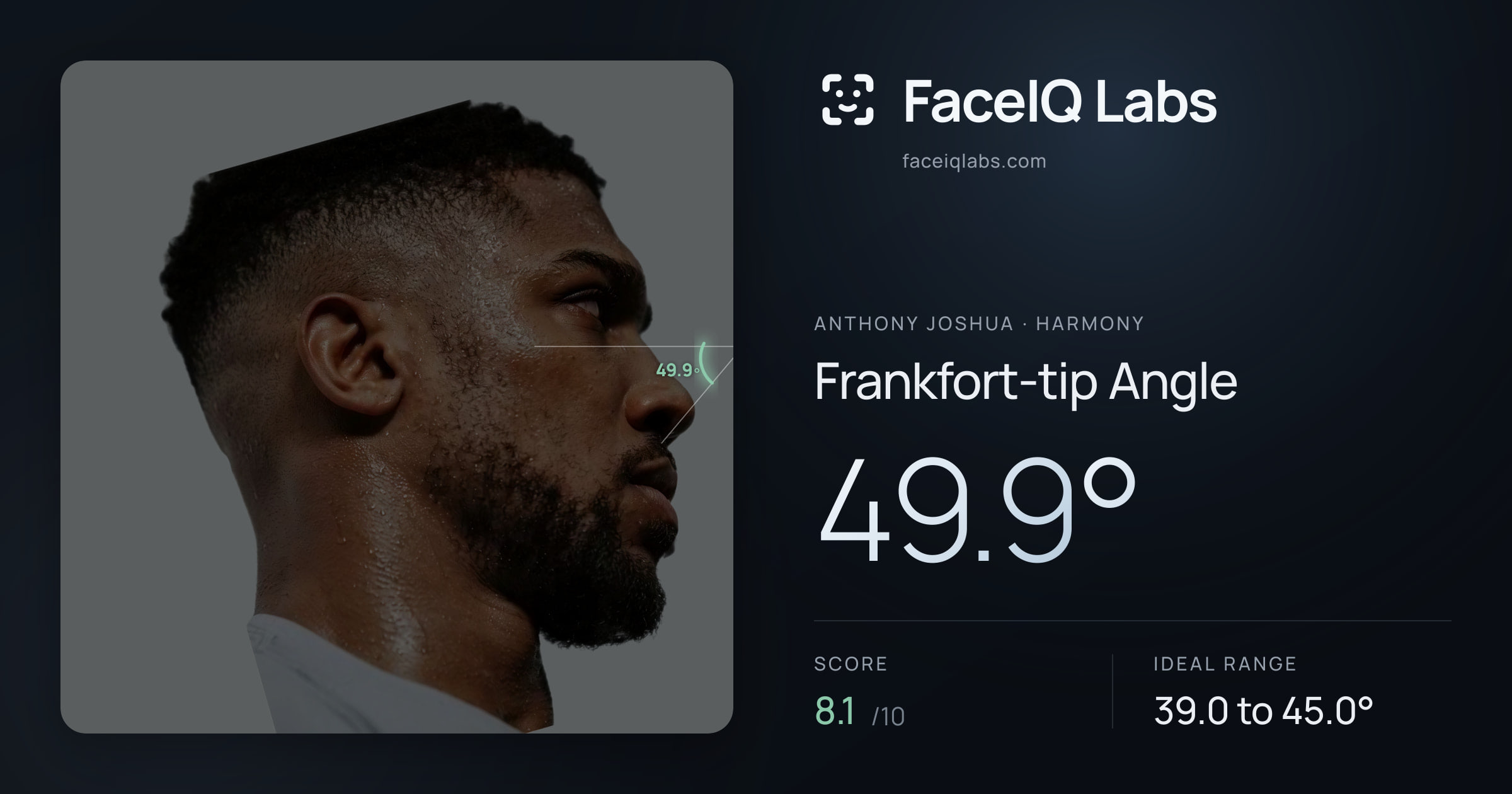 Anthony Joshua Frankfort-tip Angle: 49.9°, drawn on the photo