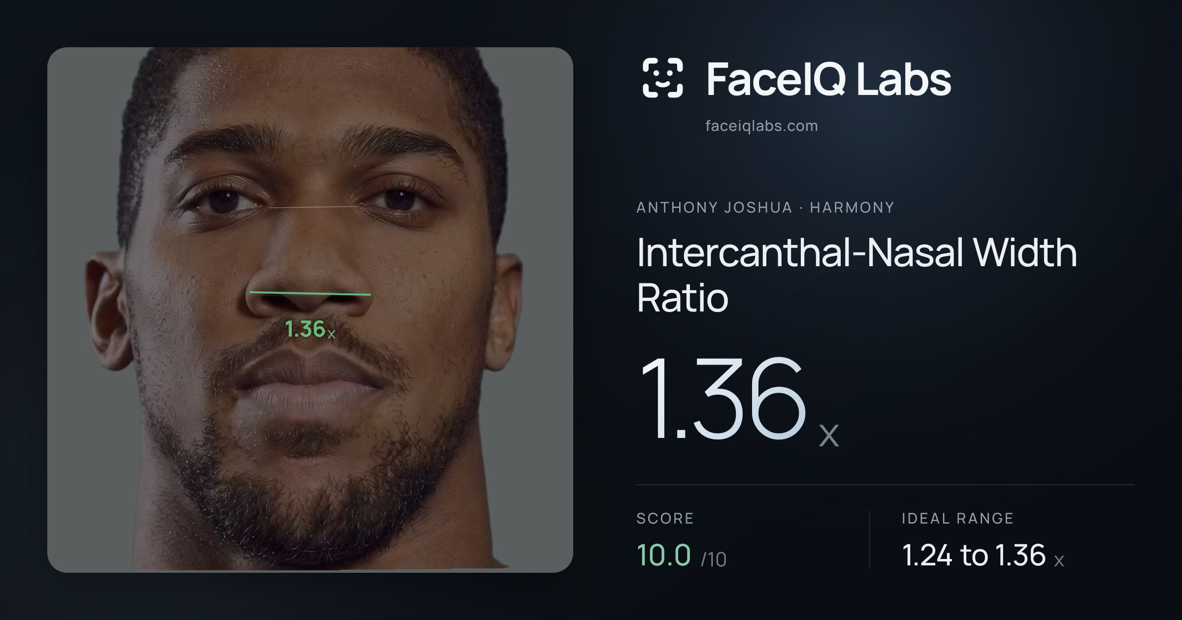 Anthony Joshua Intercanthal-Nasal Width Ratio: 1.36x, drawn on the photo