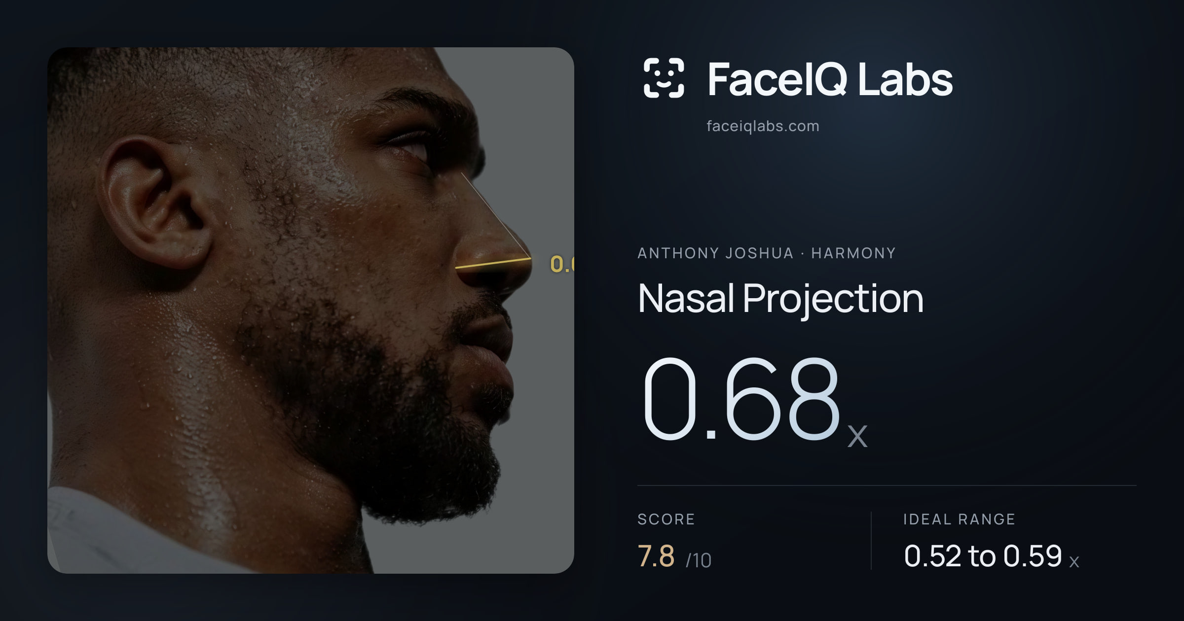 Anthony Joshua Nasal Projection: 0.68x, drawn on the photo