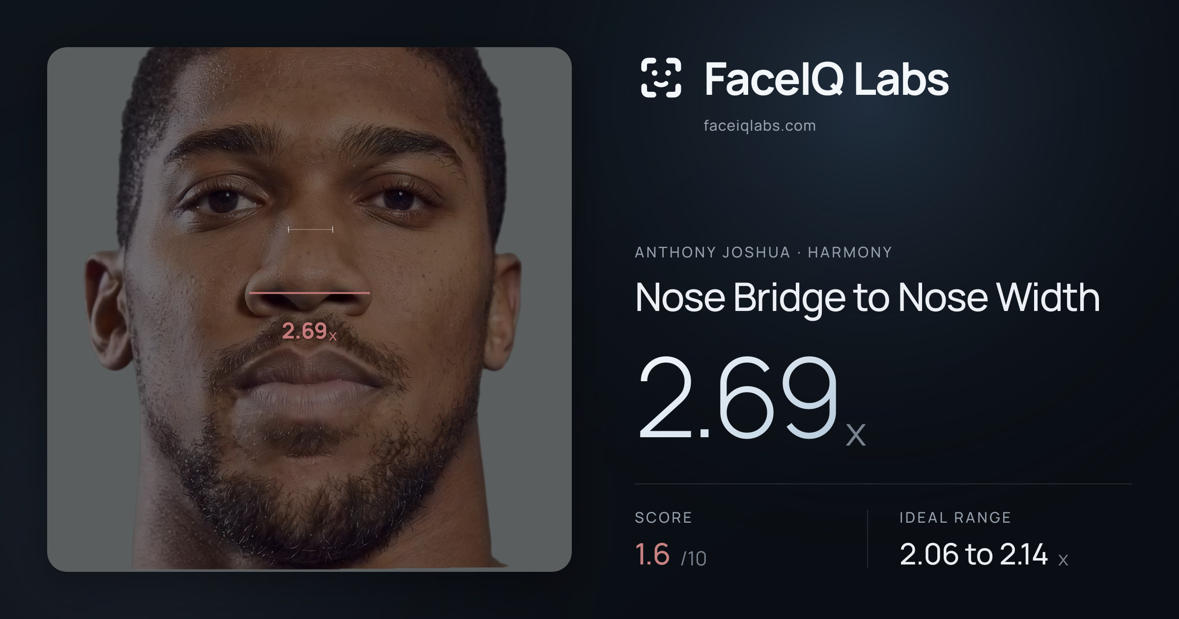 Anthony Joshua Nose Bridge to Nose Width: 2.69x, drawn on the photo