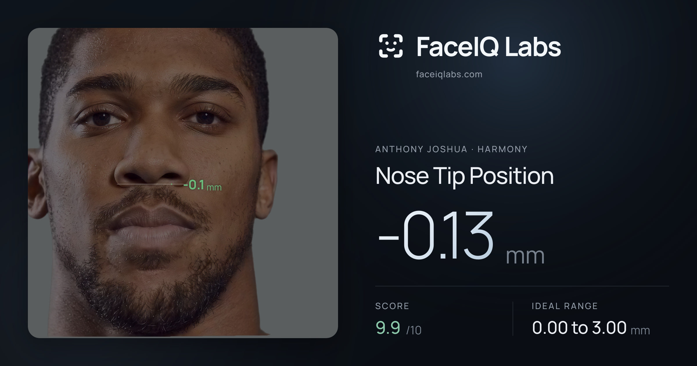 Anthony Joshua Nose Tip Position: -0.13mm, drawn on the photo