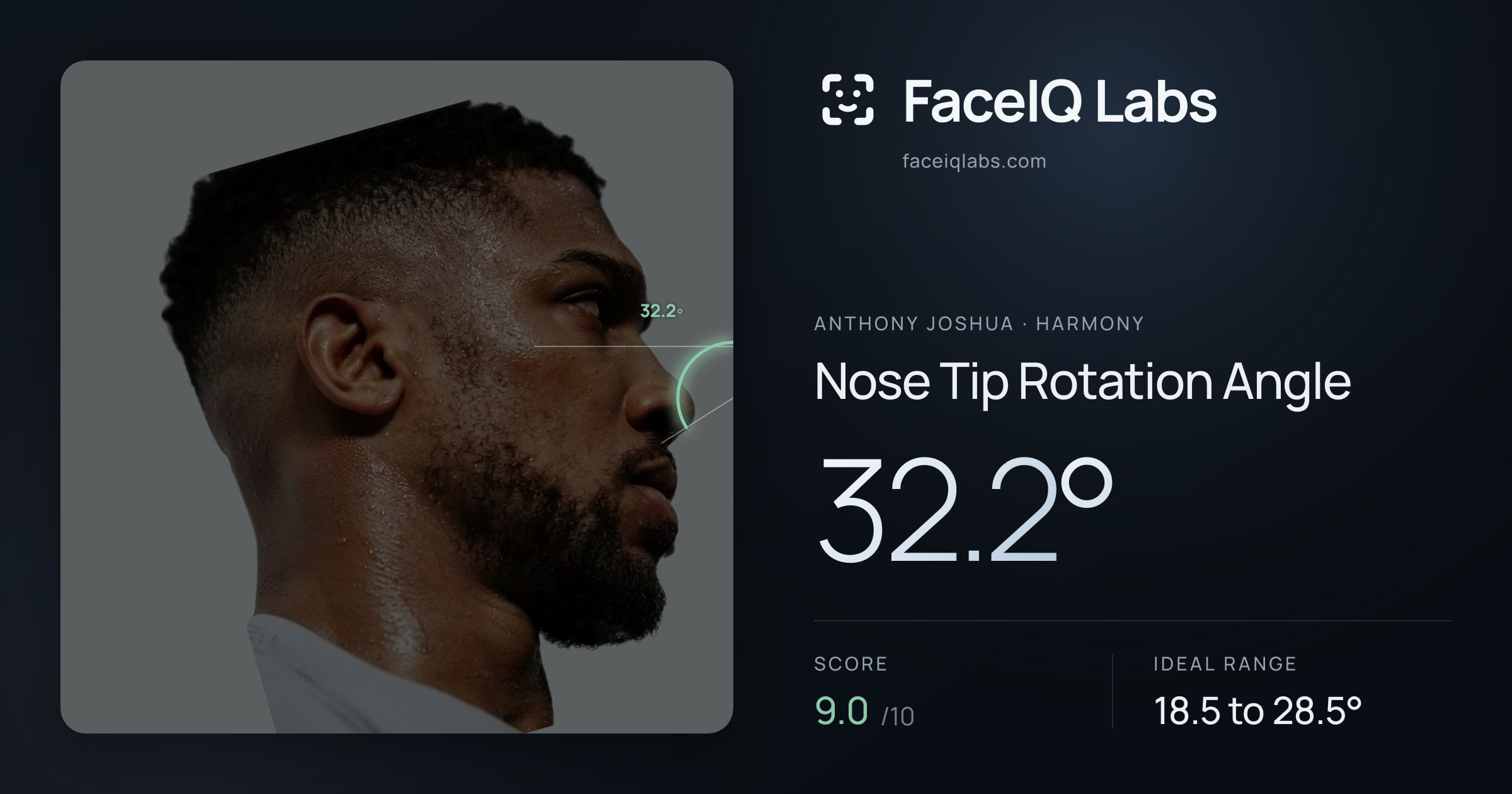 Anthony Joshua Nose Tip Rotation Angle: 32.2°, drawn on the photo