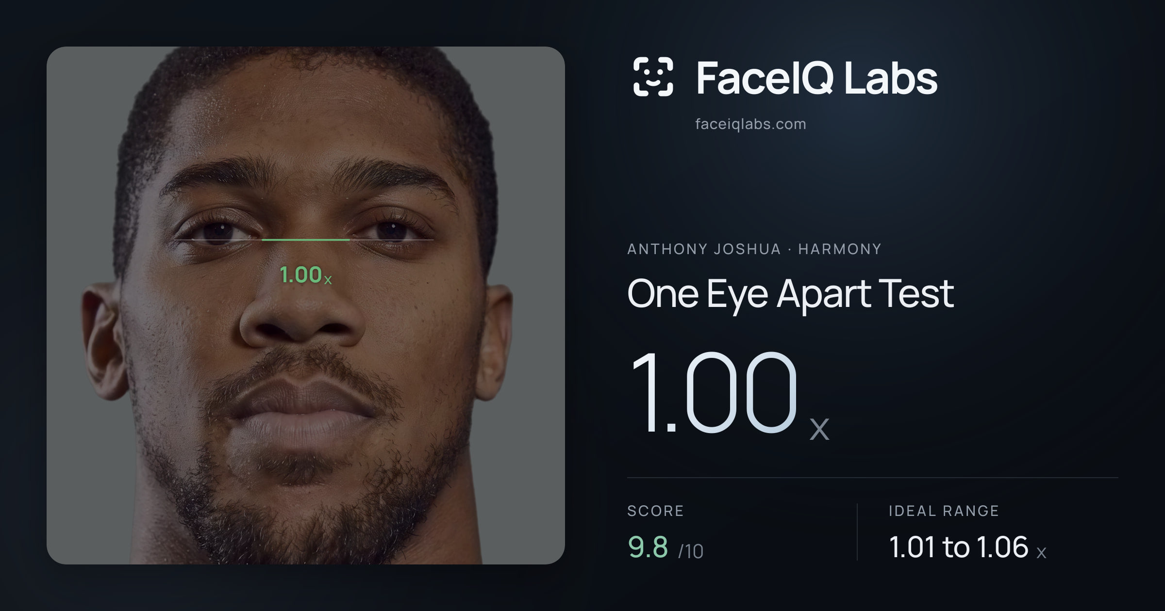 Anthony Joshua One Eye Apart Test: 1.00x, drawn on the photo