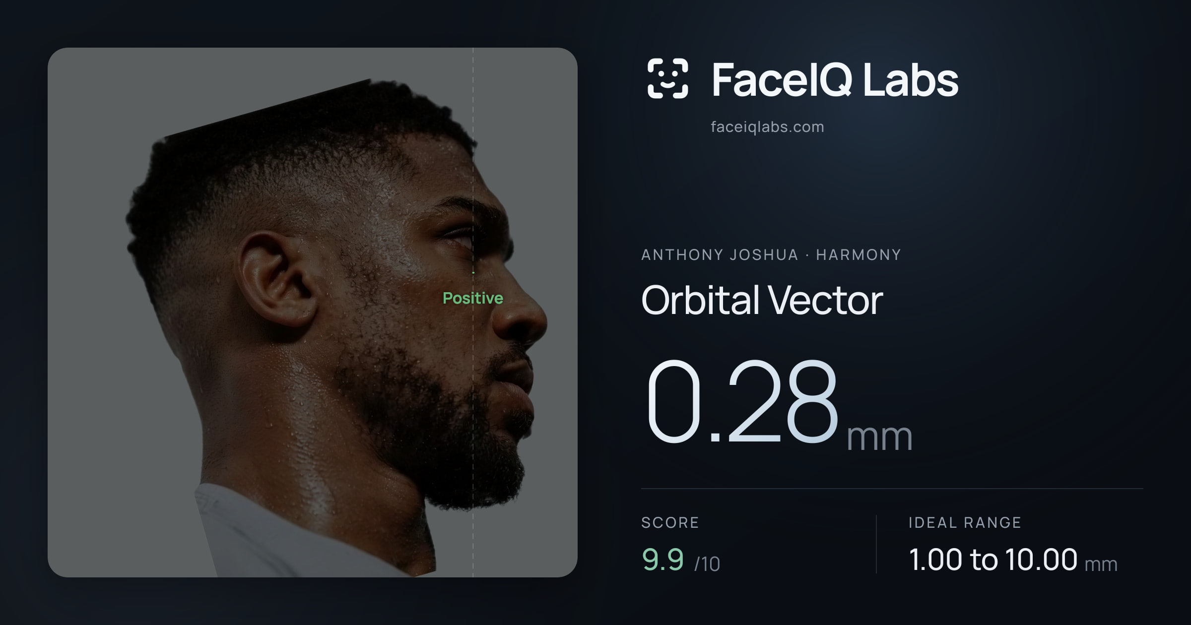 Anthony Joshua Orbital Vector: 0.28mm, drawn on the photo