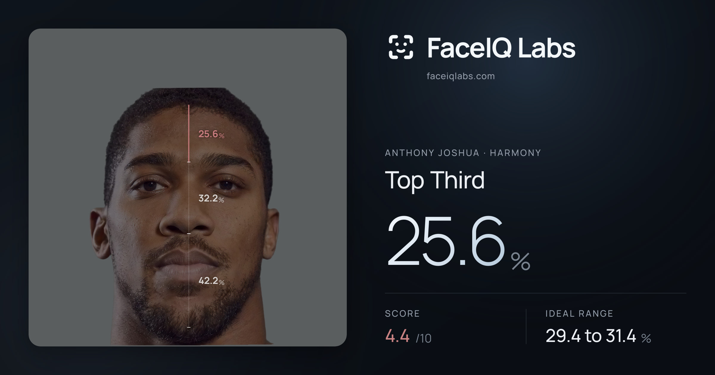 Anthony Joshua Top Third: 25.6%, drawn on the photo