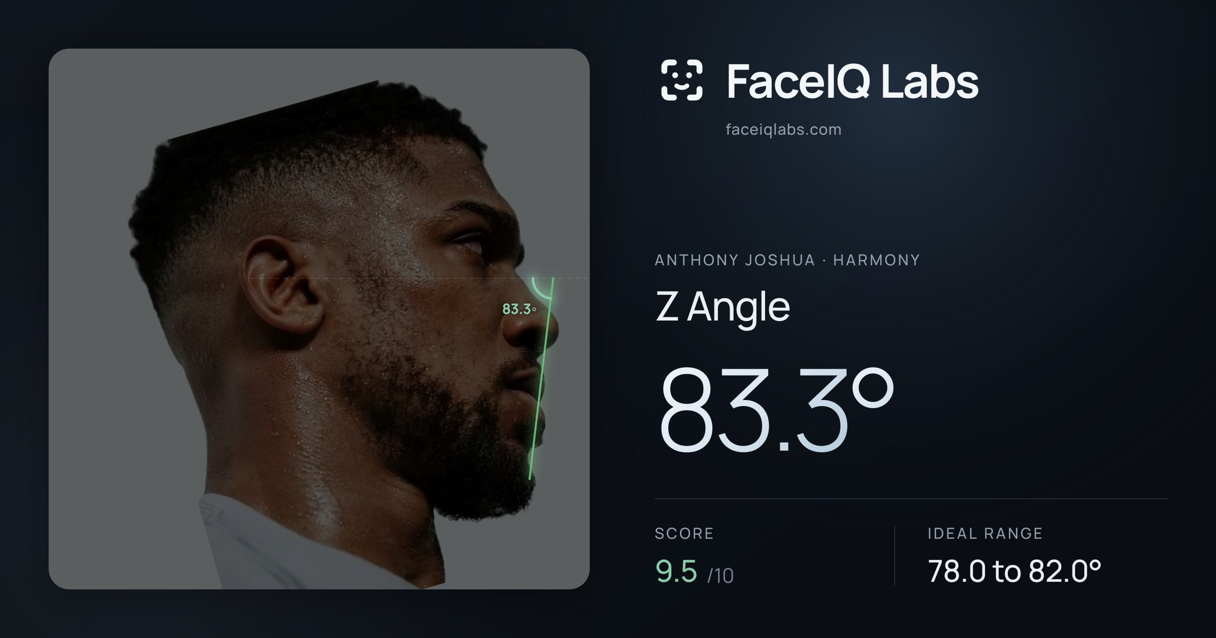 Anthony Joshua Z Angle: 83.3°, drawn on the photo