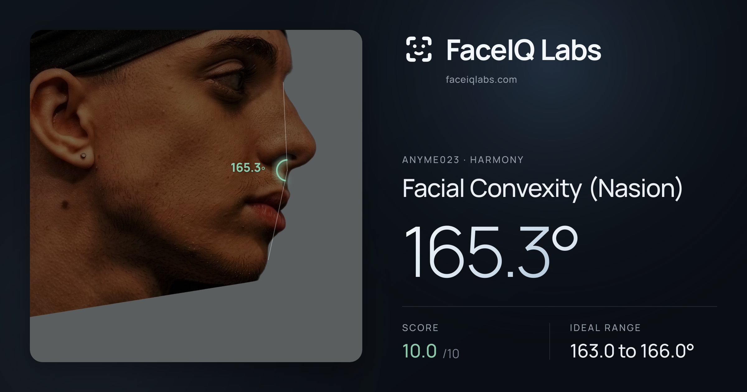 Anyme023 Facial Convexity (Nasion): 165.3°, drawn on the photo