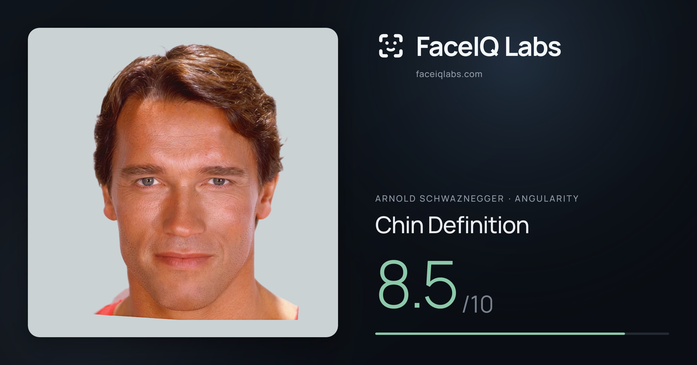 Arnold Schwaznegger Chin Definition: 8.5/10, drawn on the photo