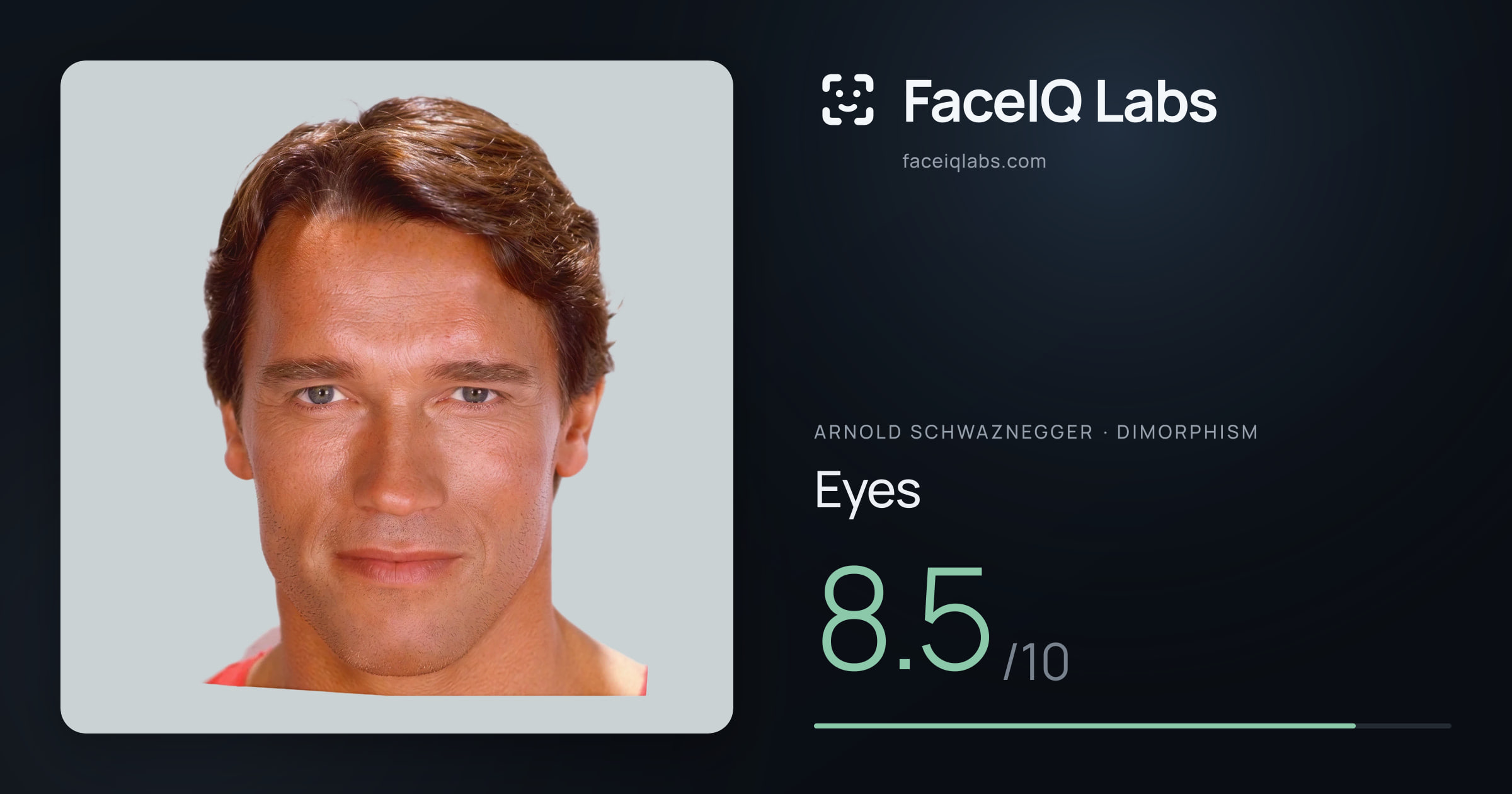 Arnold Schwaznegger Eyes: 8.5/10, drawn on the photo