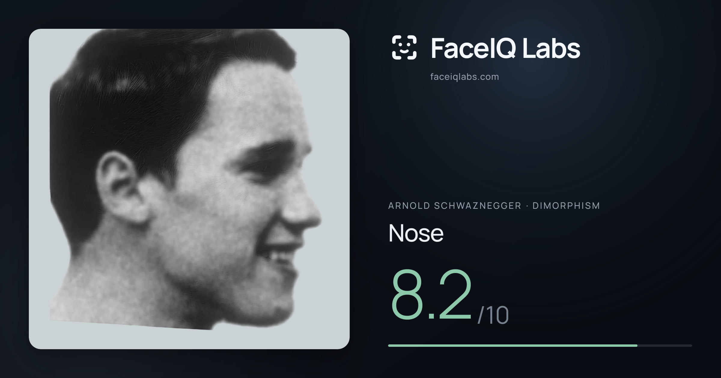 Arnold Schwaznegger Nose: 8.2/10, drawn on the photo