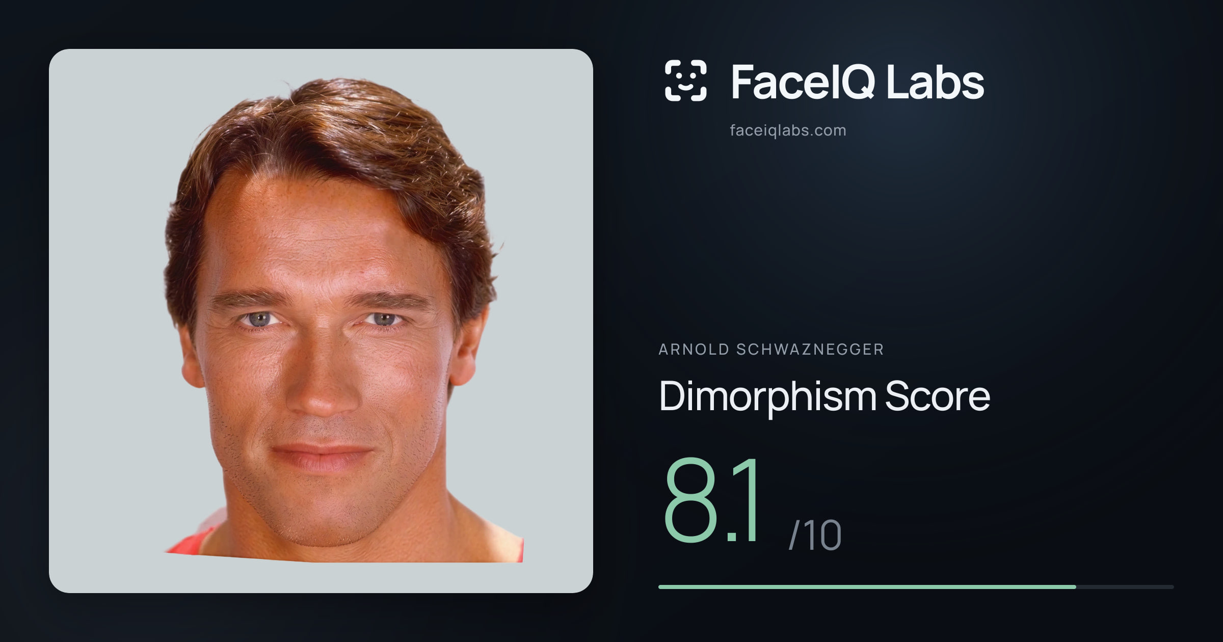 Arnold Schwaznegger Dimorphism: 8.1/10, with each assessment drawn on the photo