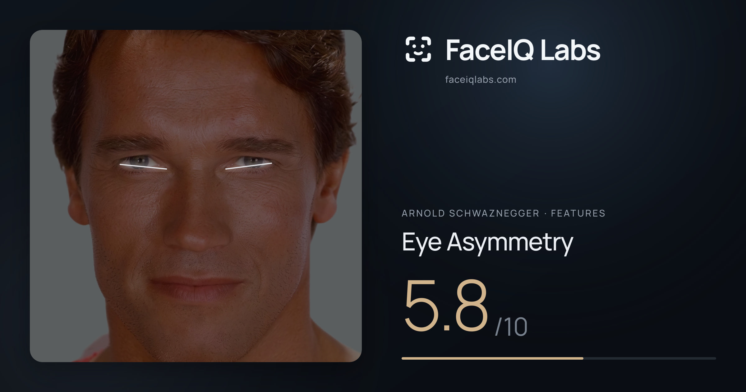 Arnold Schwaznegger Eye Asymmetry: 5.8/10, drawn on the photo
