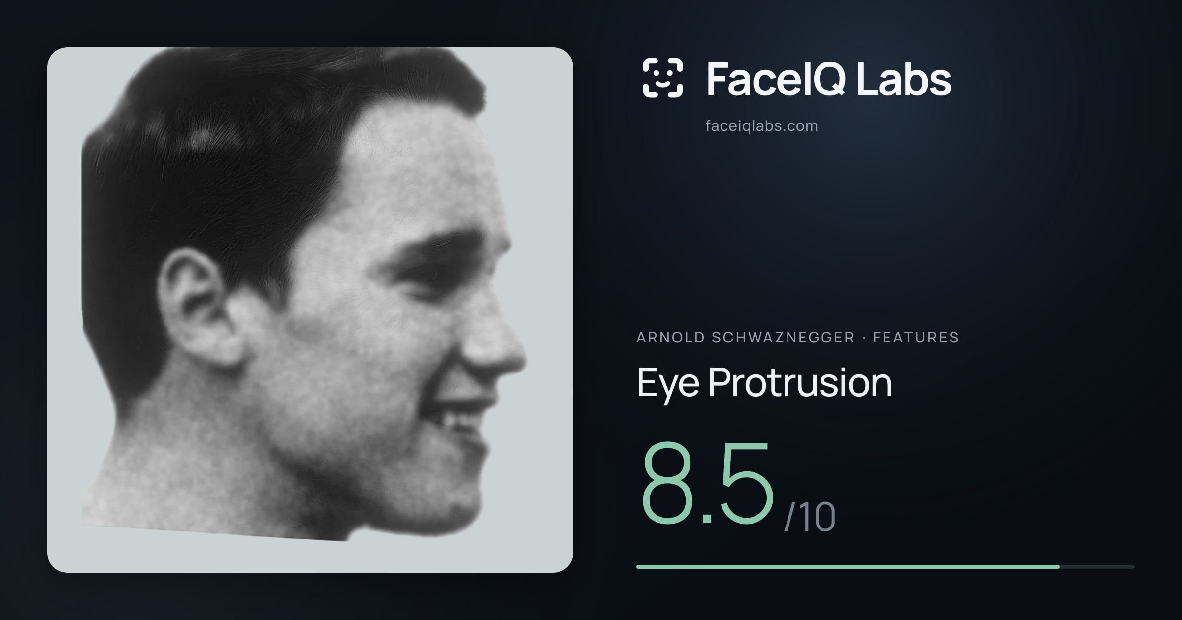 Arnold Schwaznegger Eye Protrusion: 8.5/10, drawn on the photo