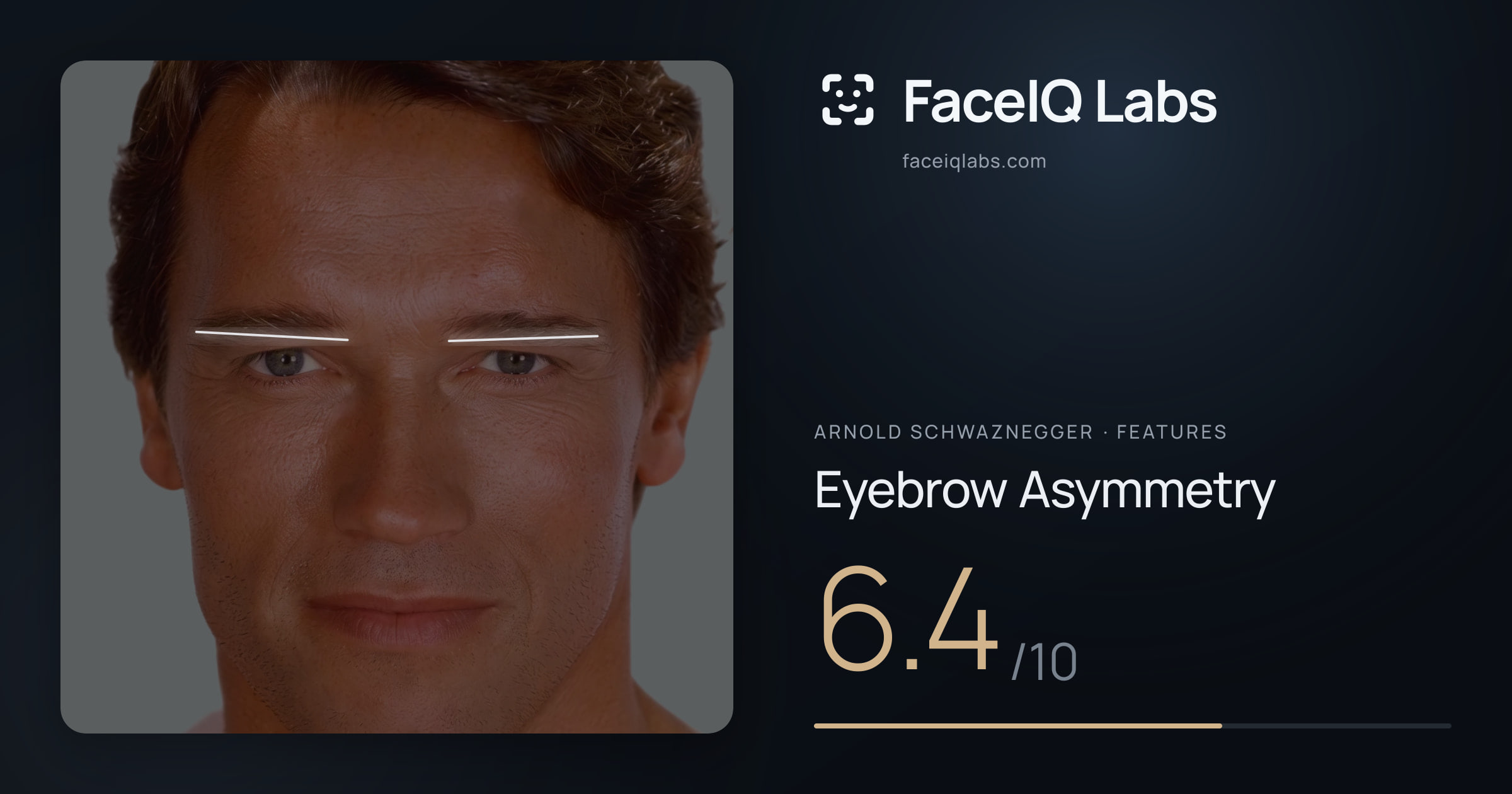 Arnold Schwaznegger Eyebrow Asymmetry: 6.4/10, drawn on the photo