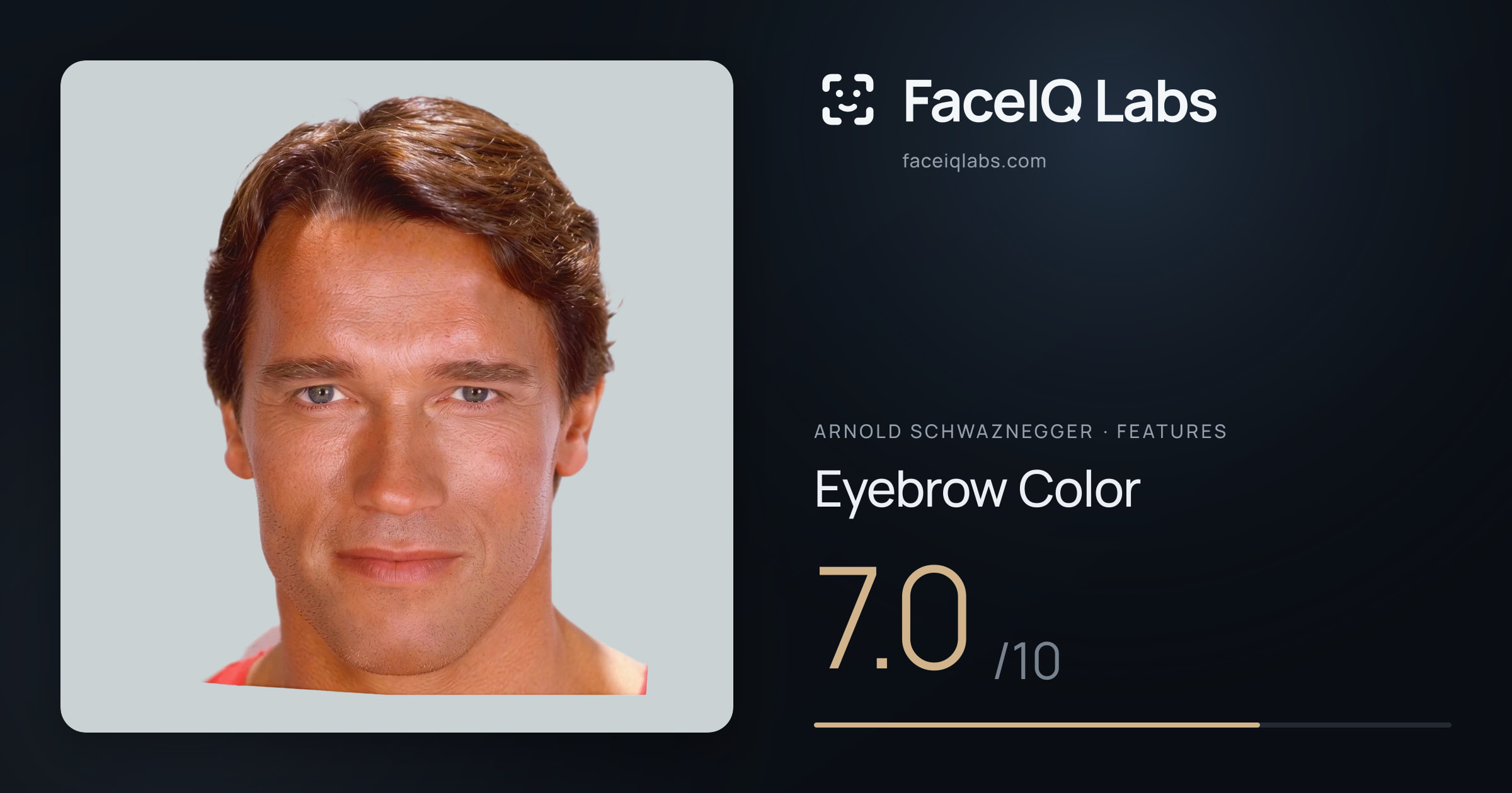 Arnold Schwaznegger Eyebrow Color: 7.0/10, drawn on the photo