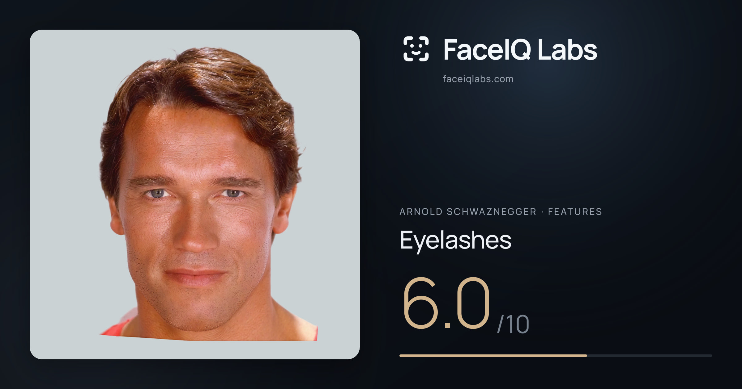 Arnold Schwaznegger Eyelashes: 6.0/10, drawn on the photo