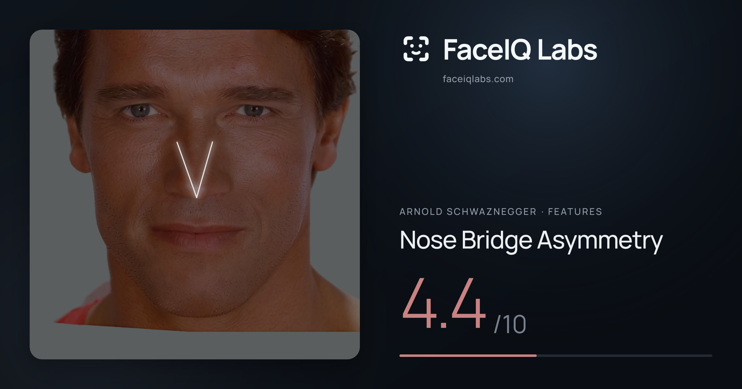 Arnold Schwaznegger Nose Bridge Asymmetry: 4.4/10, drawn on the photo