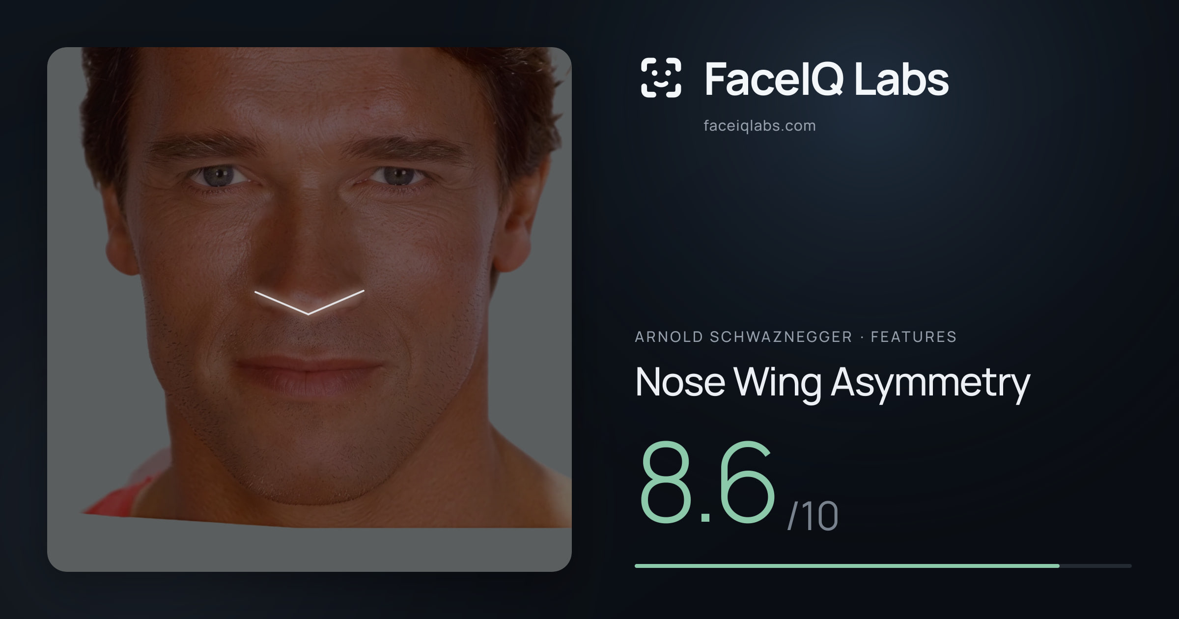 Arnold Schwaznegger Nose Wing Asymmetry: 8.6/10, drawn on the photo