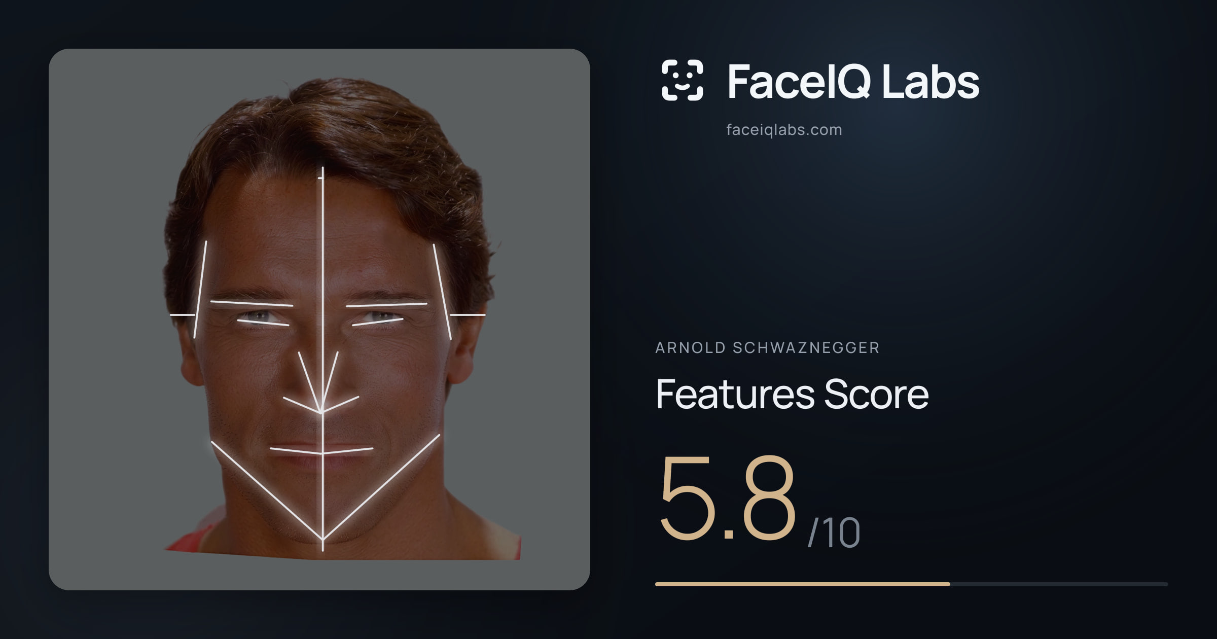 Arnold Schwaznegger Features: 5.8/10, with each assessment drawn on the photo