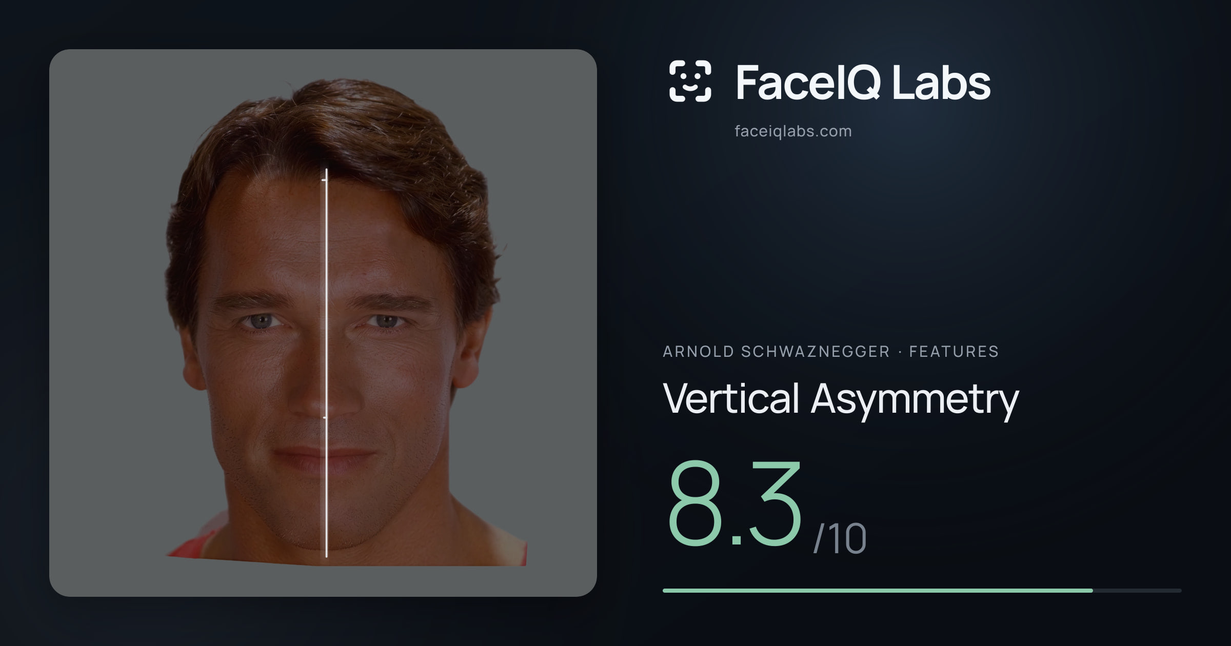 Arnold Schwaznegger Vertical Asymmetry: 8.3/10, drawn on the photo