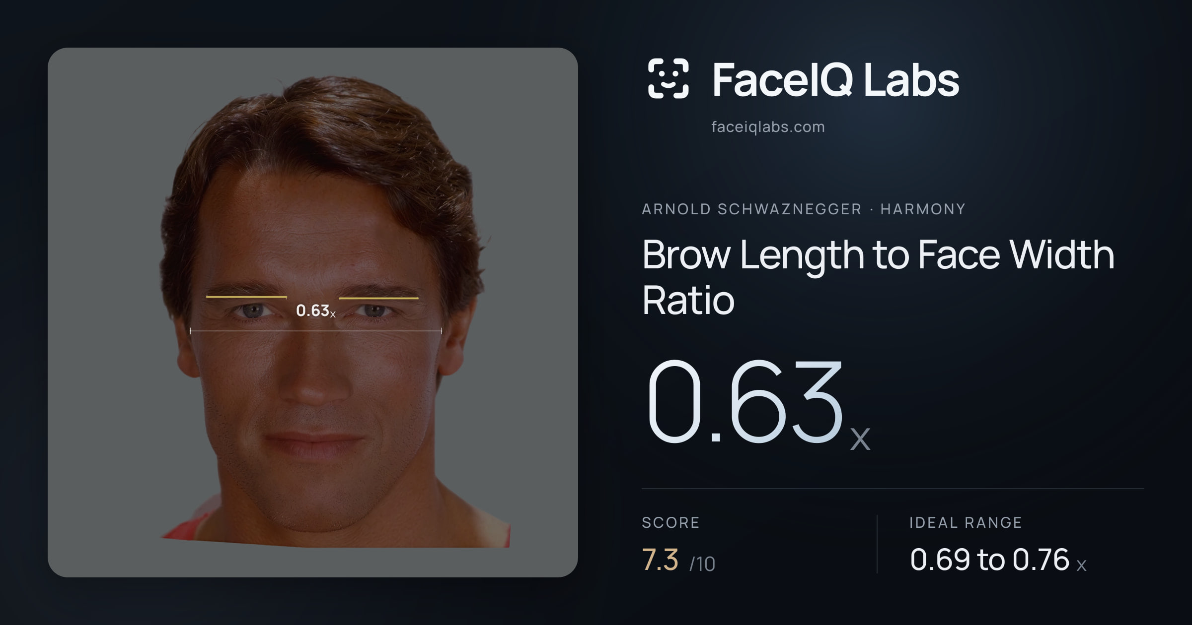 Arnold Schwaznegger Brow Length to Face Width Ratio: 0.63x, drawn on the photo